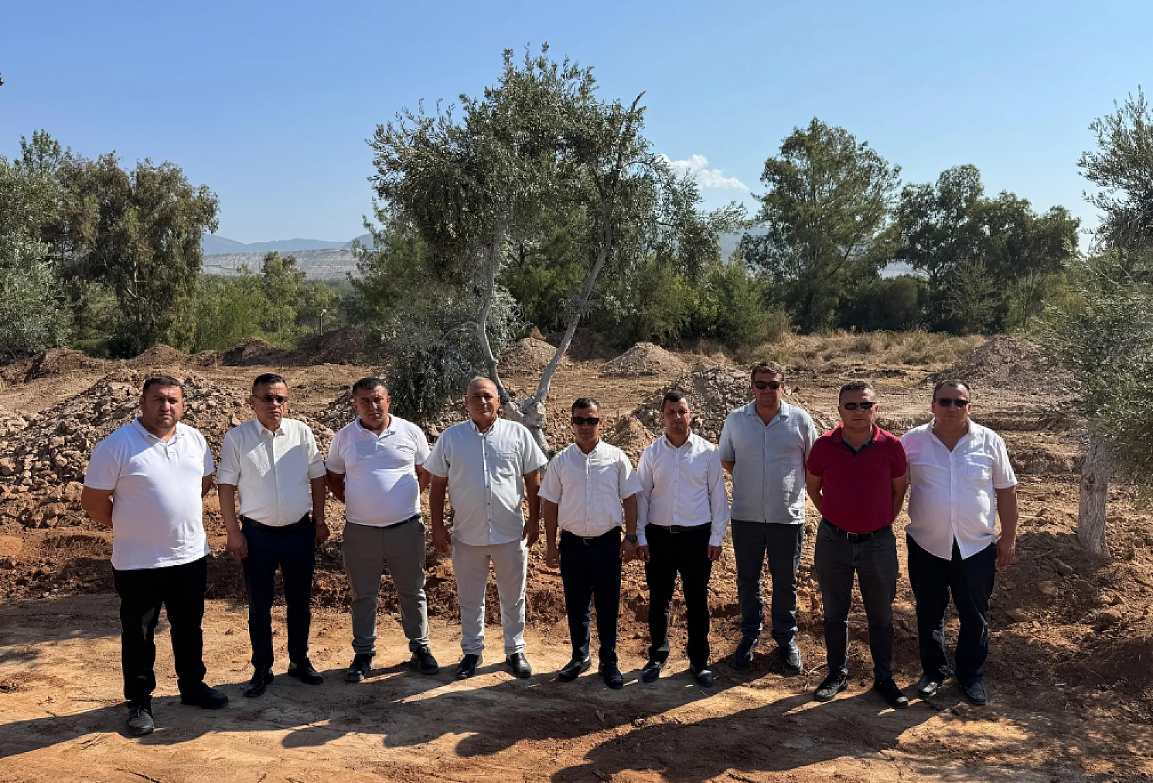 Muğla'da zeytin ağaçları bilimsel yöntemlerle yeni yerlerine taşındı