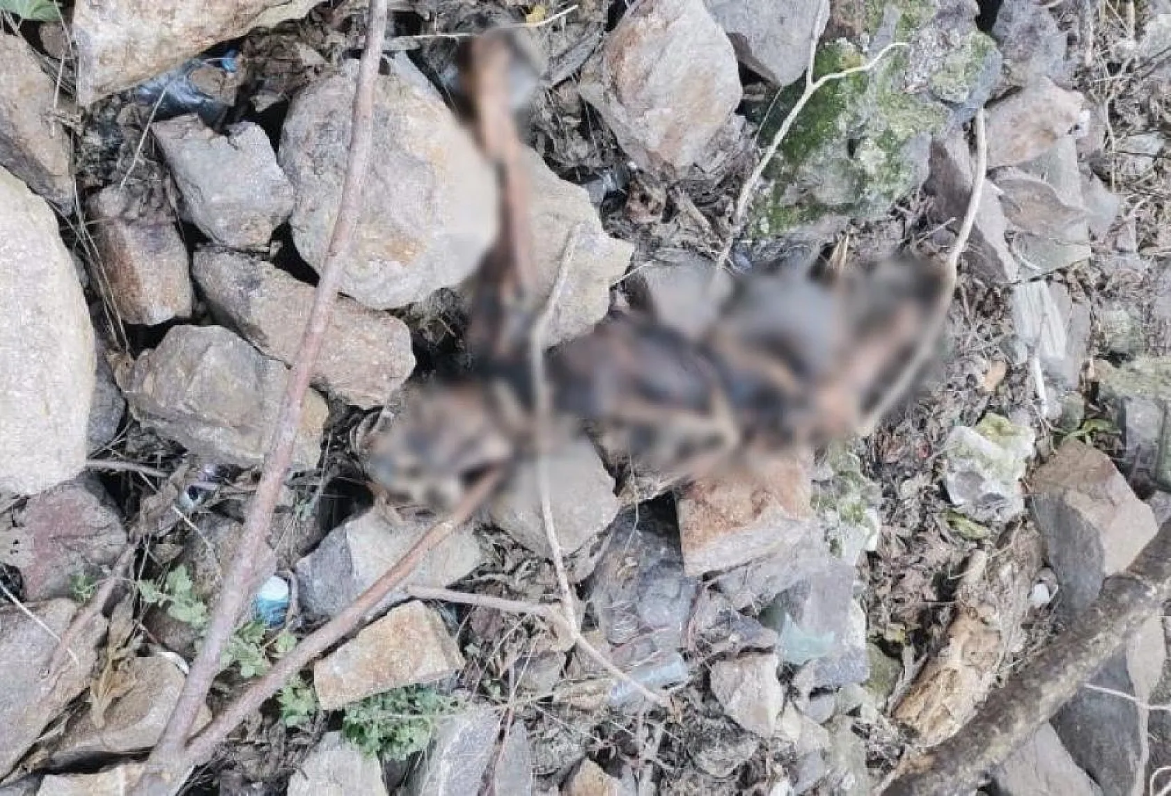 Tarihi Asansör yakınında insan kemikleri bulundu