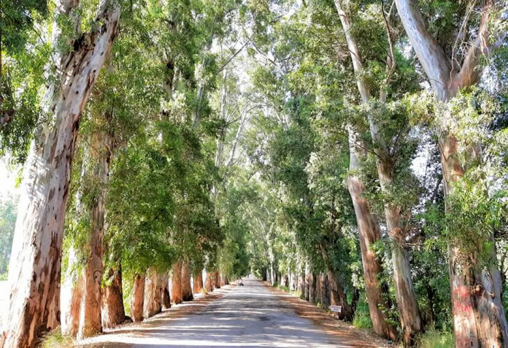 Muğla'da mutlaka gezip görmeniz gereken 20 yer