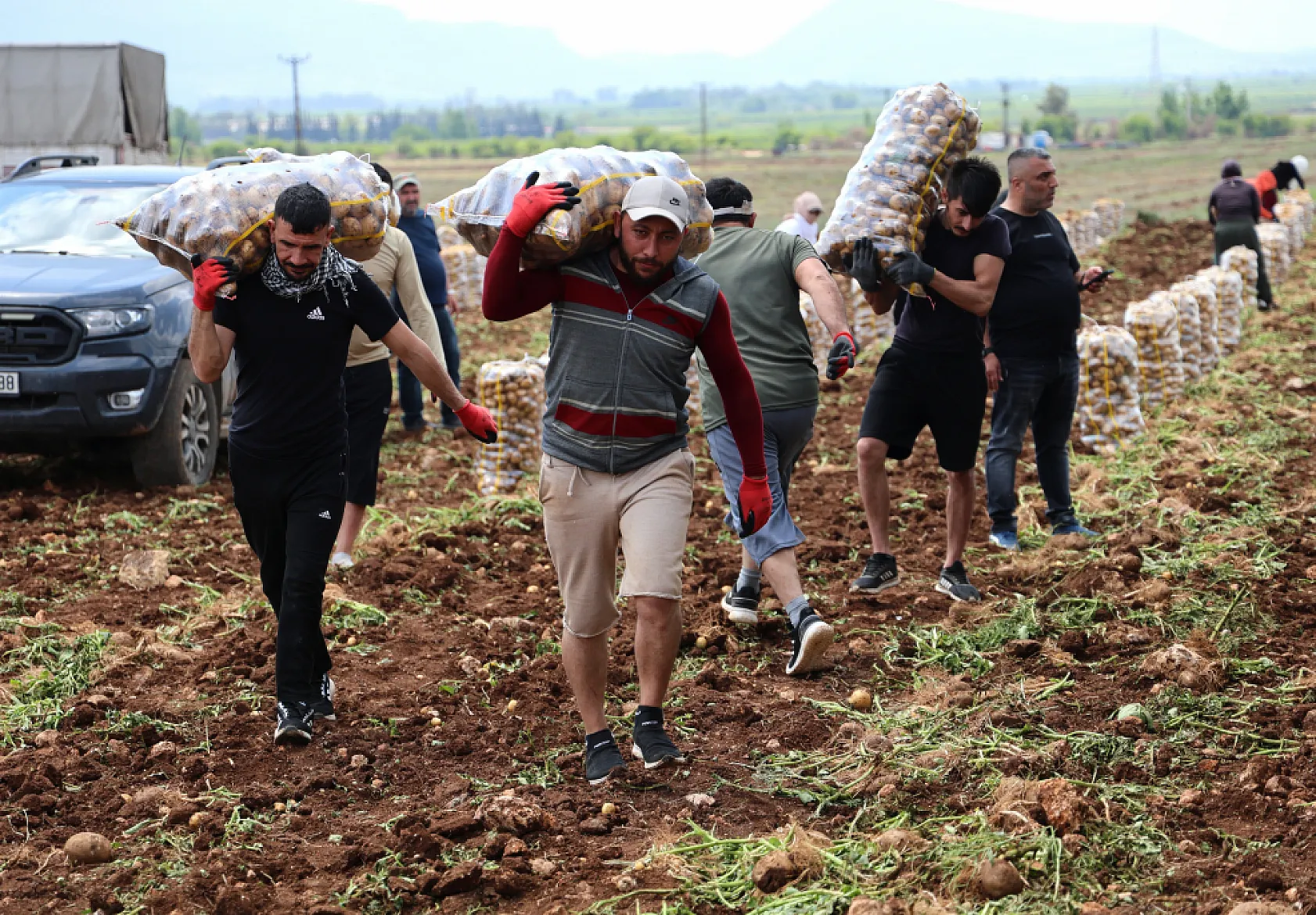 Bunlar özel işçiler: Günlük 250-300 ton patates yükleyip 2 bin 500 TL kazanıyorlar