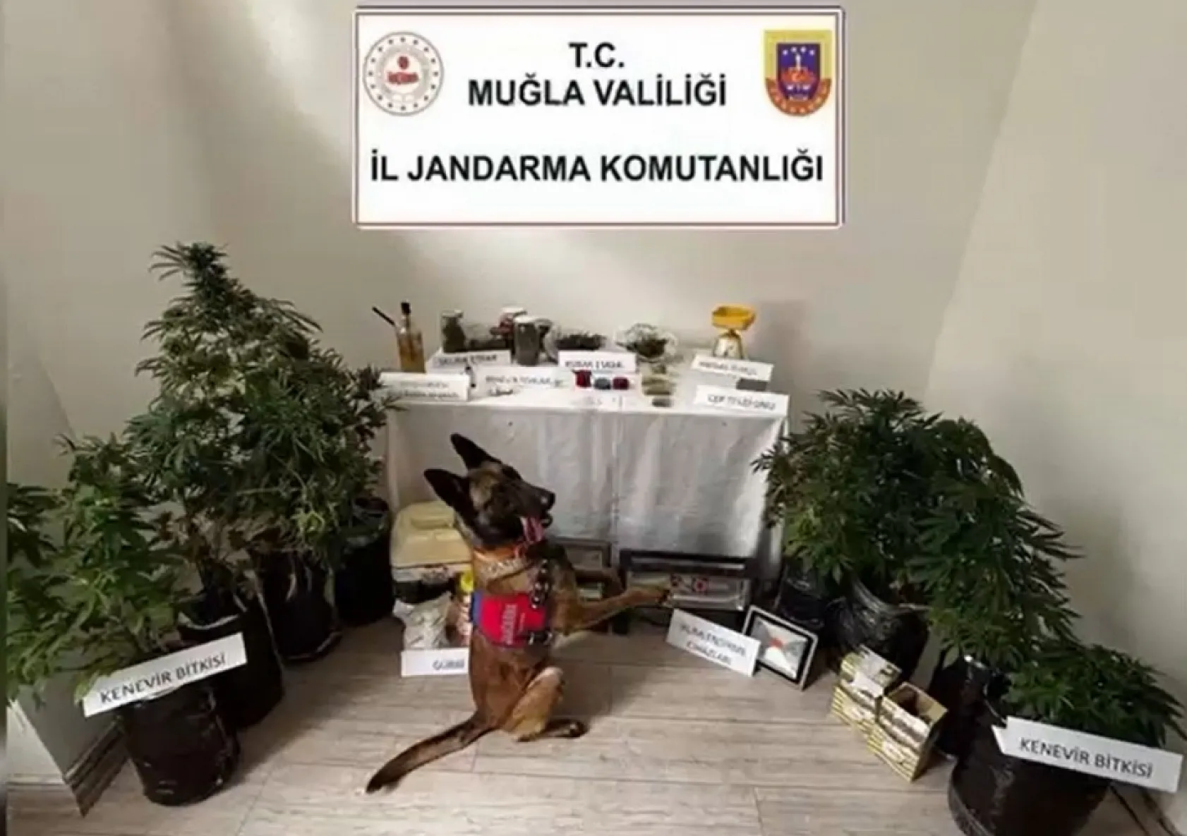 Marmaris'te uyuşturucu operasyonu: 1 tutuklama