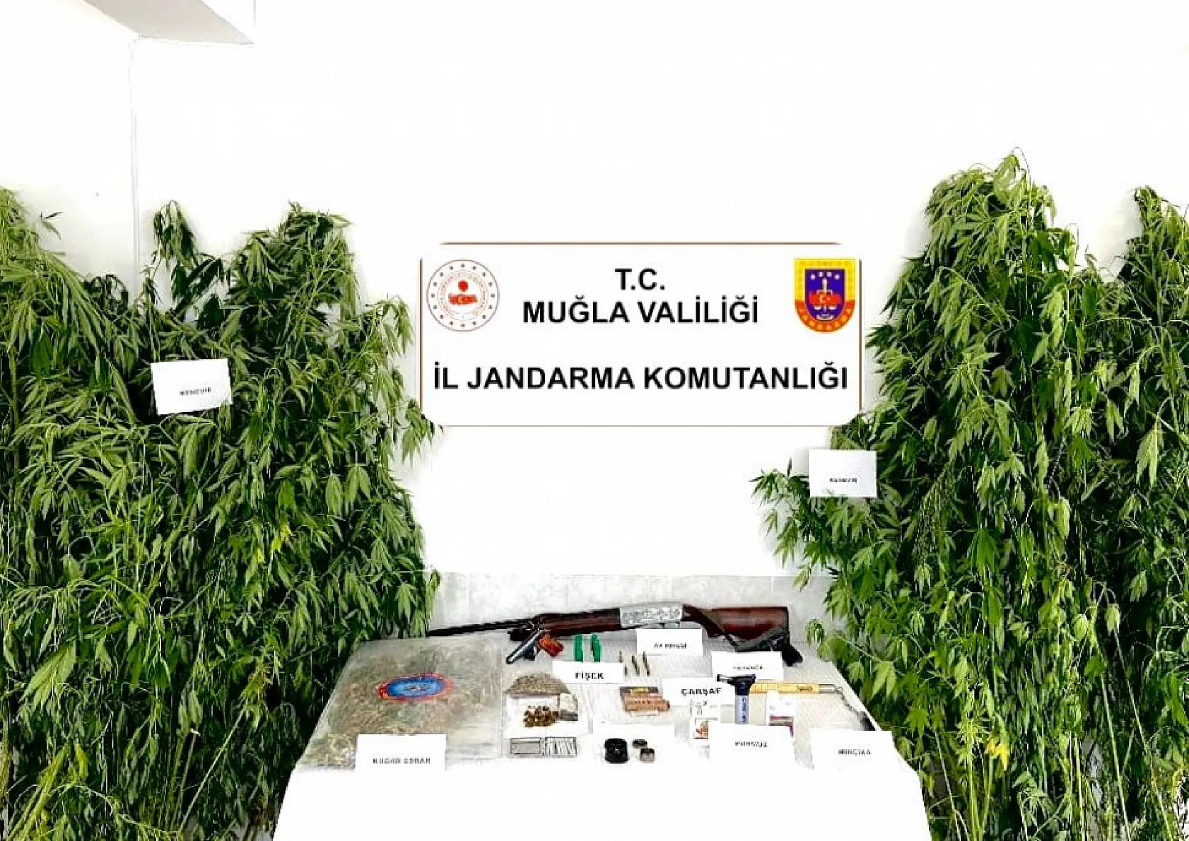 Muğla'da Uyuşturucu Tacirlerine Büyük Darbe 119 Operasyonda 153 Gözaltı, 8 Tutuklama