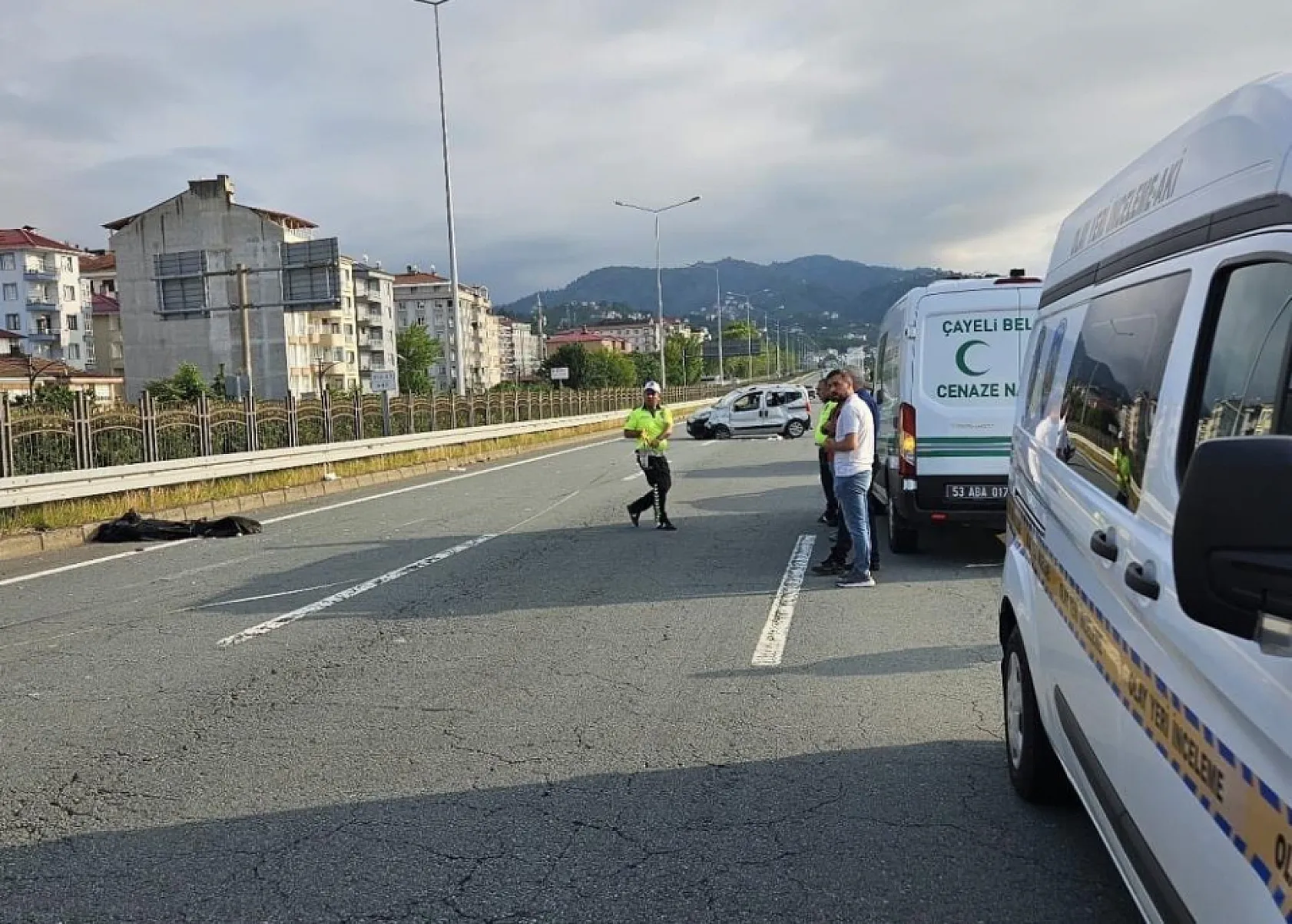 2 kardeşin ölümüne arabaya giren arı sebep oldu