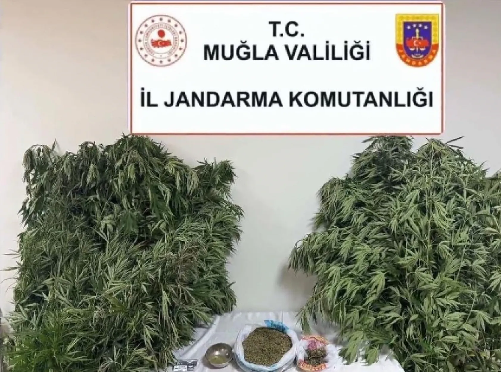 Muğla'da uyuşturucu madde üreten zahir taciri yakalandı