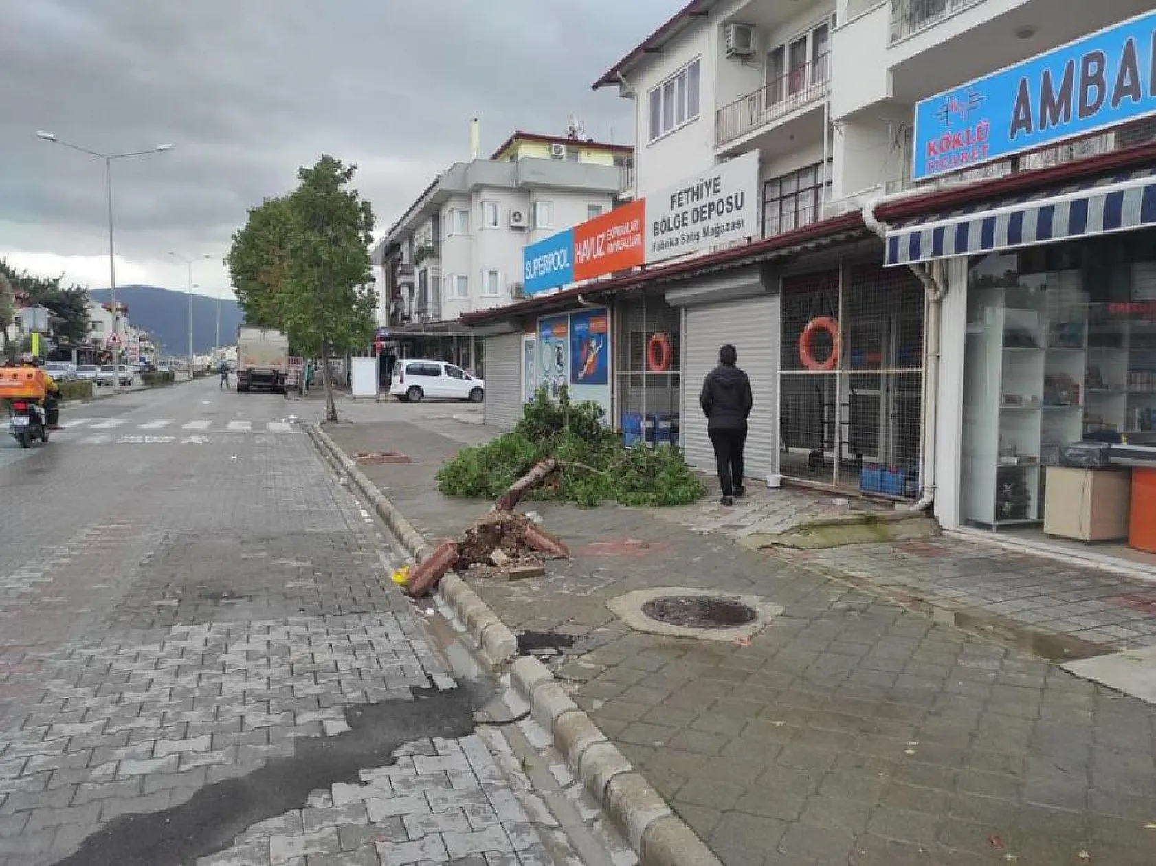 Fethiye'de seralar hasar gördü, ağaçlar devrildi