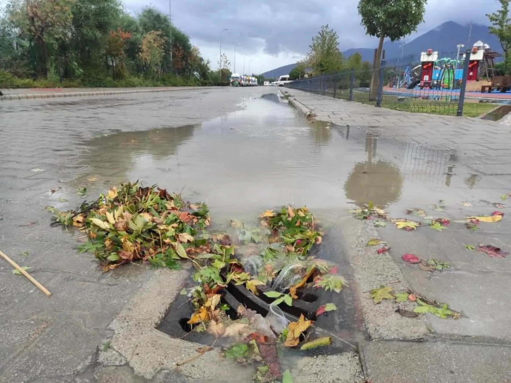 Fethiye'de seralar hasar gördü, ağaçlar devrildi