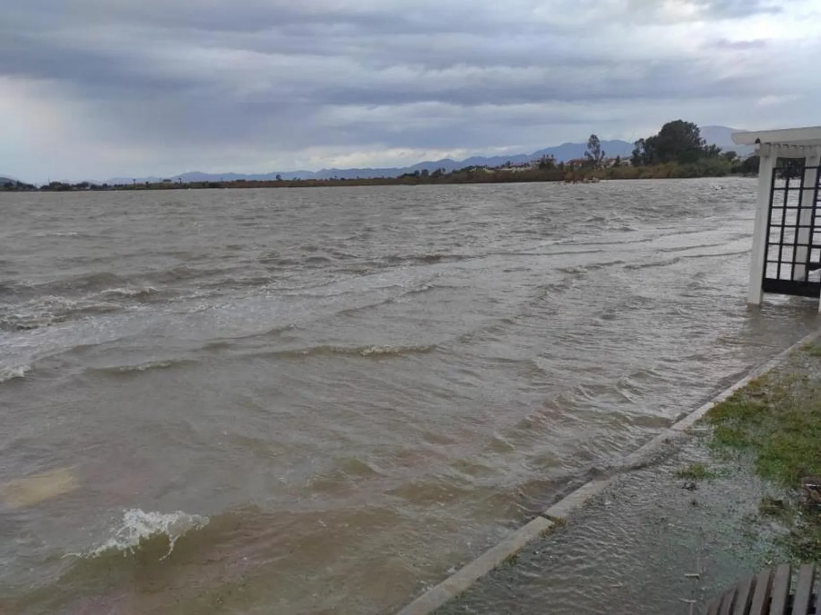 Fethiye'de seralar hasar gördü, ağaçlar devrildi