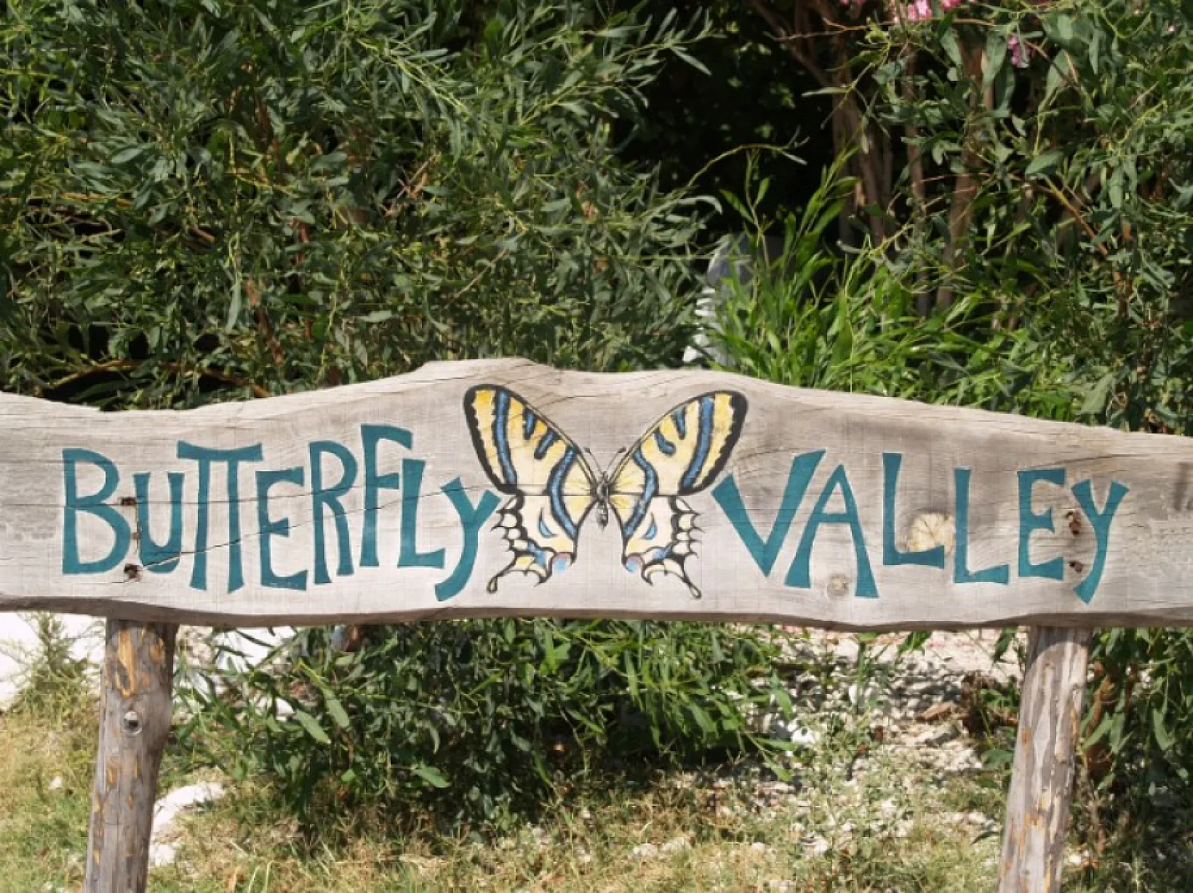 Manzarasıyla büyülüyor Fethiye'de Kelebekler Vadisi'ne nasıl gidilir? Bilinmesi gerekenler 