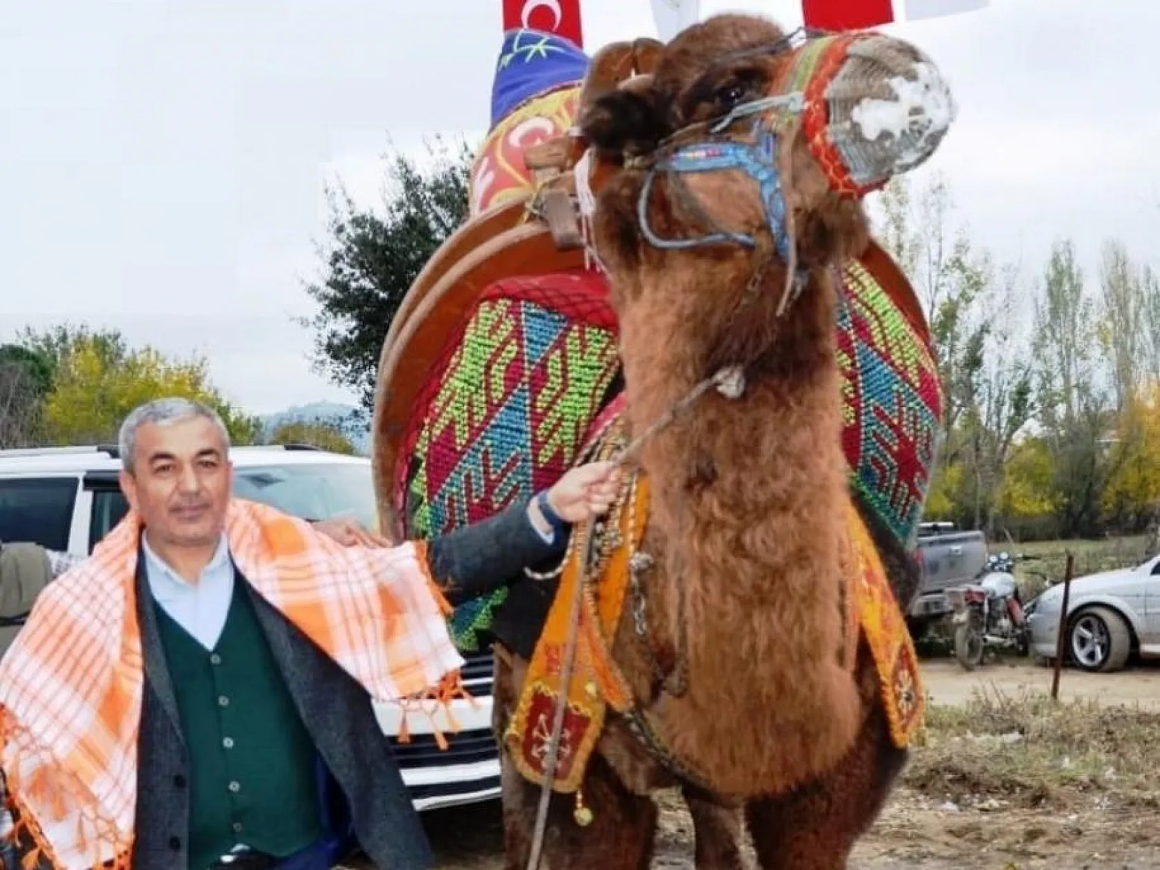Koçarlı, Geleneksel Deve Güreşi Festivali'ne hazır