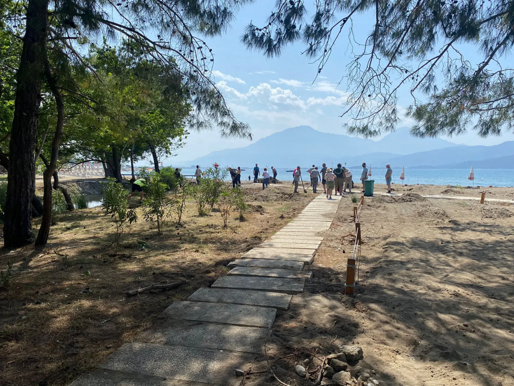 Fethiye Akmaz Halk Plajı'nda Ağaçlandırma Seferberliği