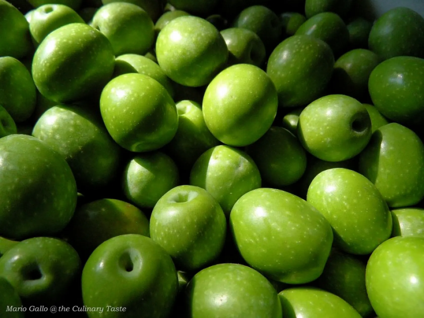 Sofralık Zeytin İhracatında Tarihi Rekor