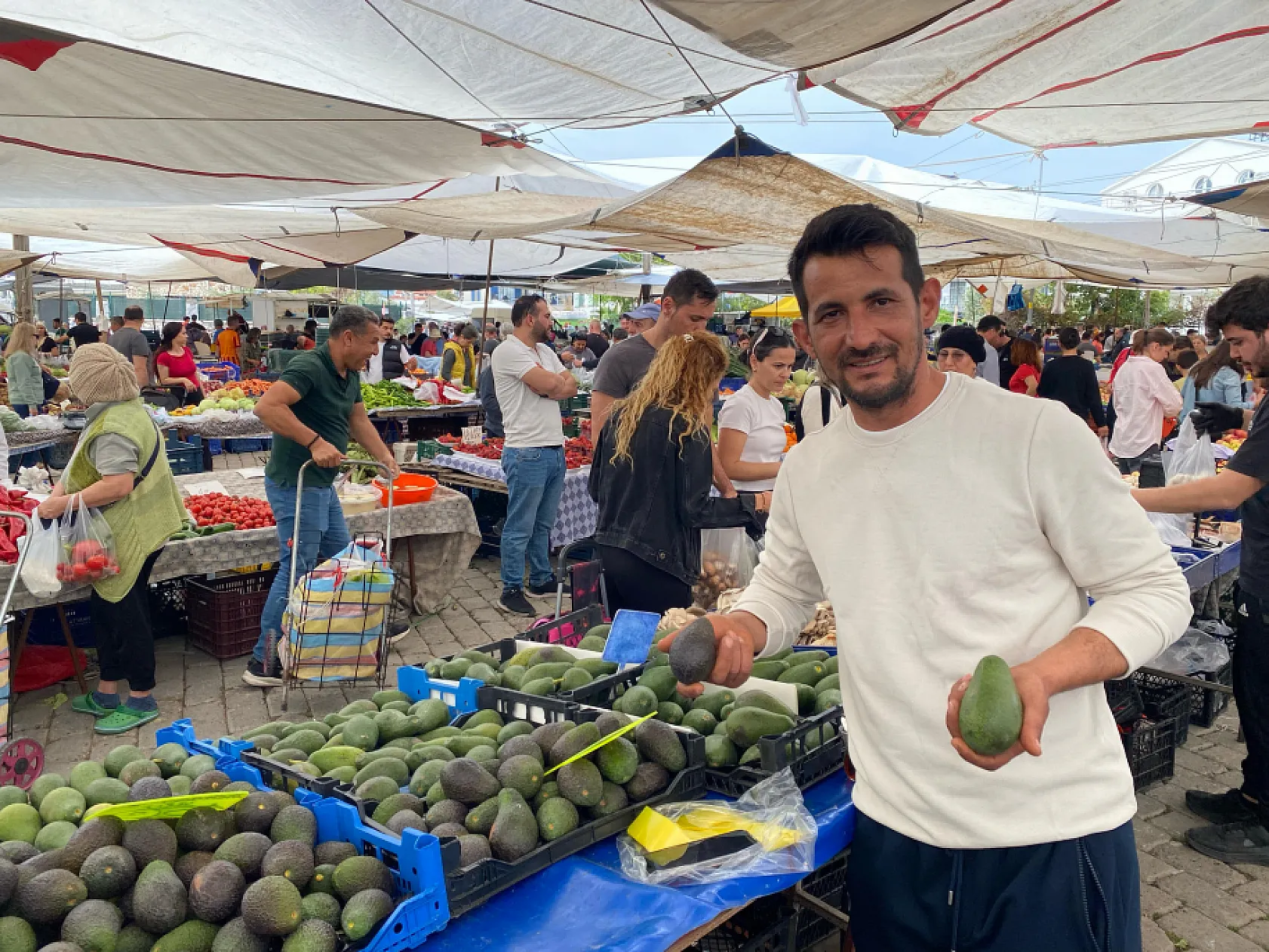 Fethiye'de avokado satışları düşüşte: Üreticiler ne diyor?
