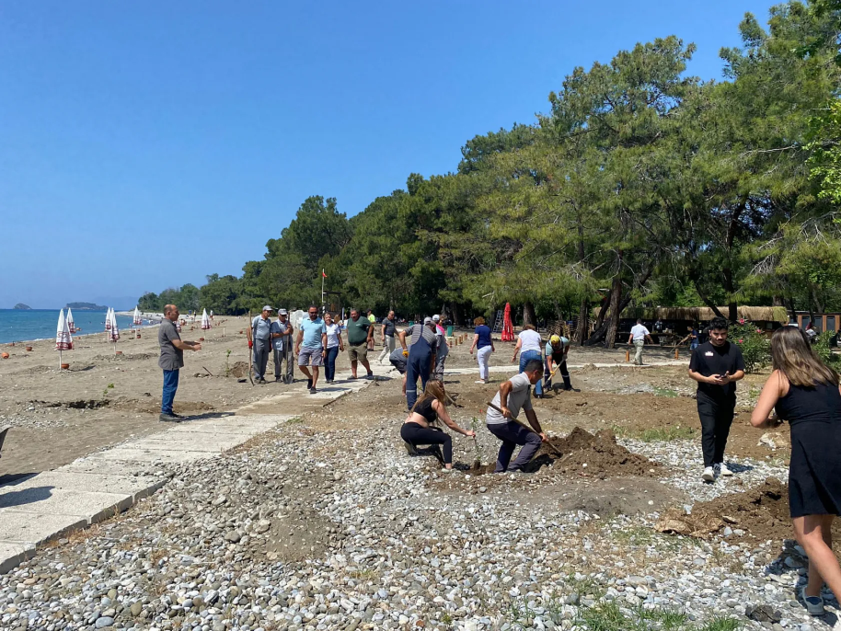 Fethiye Akmaz Halk Plajı'nda Ağaçlandırma Seferberliği