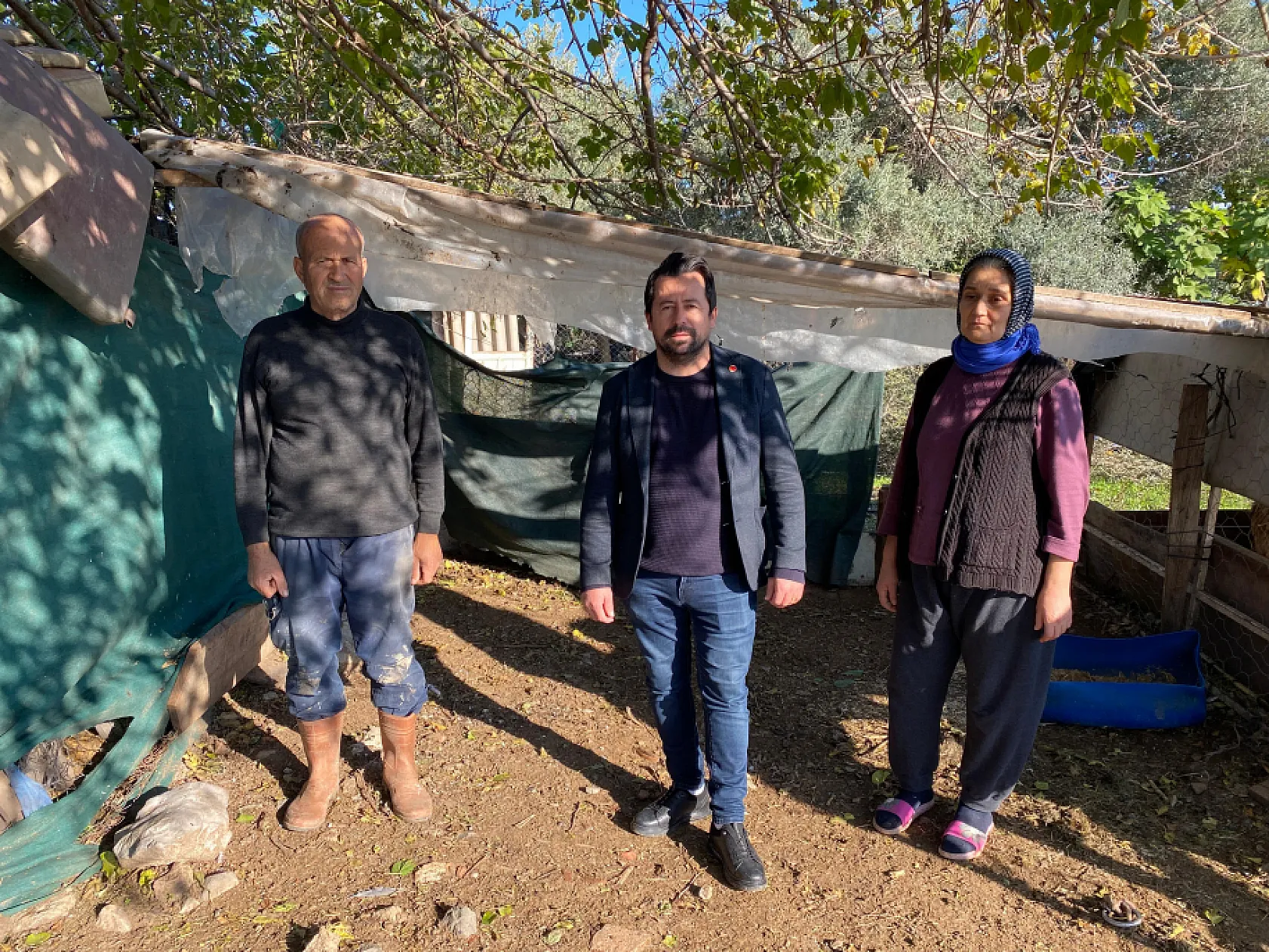 Fethiye'de Koyunlar Telef Oldu, Zarar 80 Bin TL