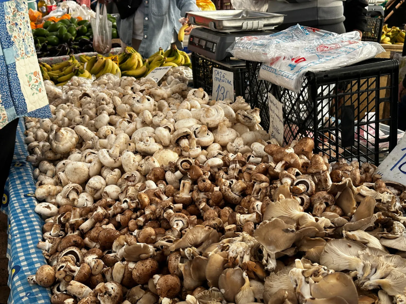 Fethiye Mantarının 300 Gramı 1 Kilo Et Gücünde