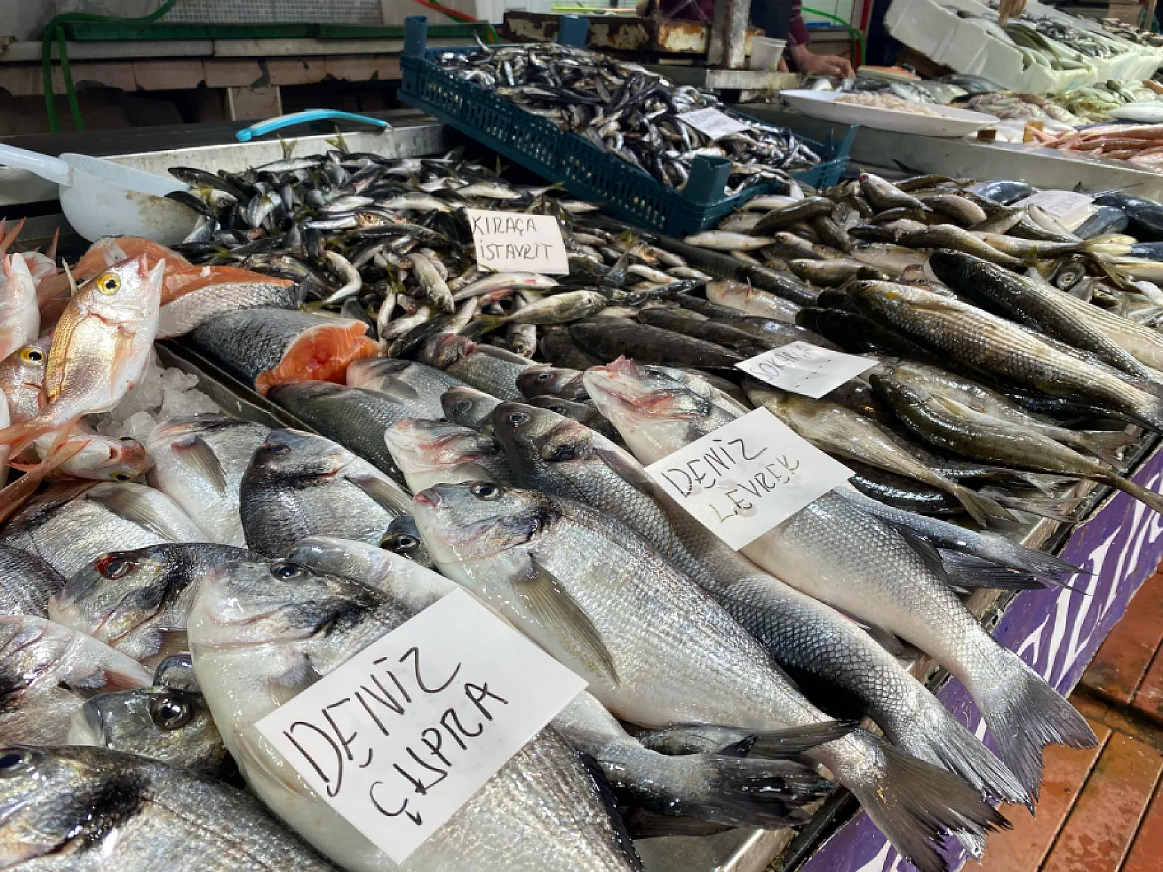 Fethiye Balık Pazarı Esnafı Aykan Kocatepe'den Ramazan'da balık fiyatları açıklaması