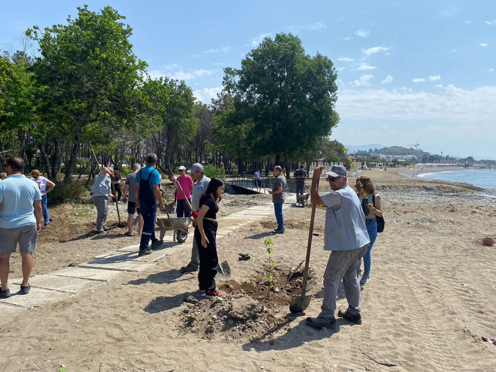 Fethiye Akmaz Halk Plajı'nda Ağaçlandırma Seferberliği