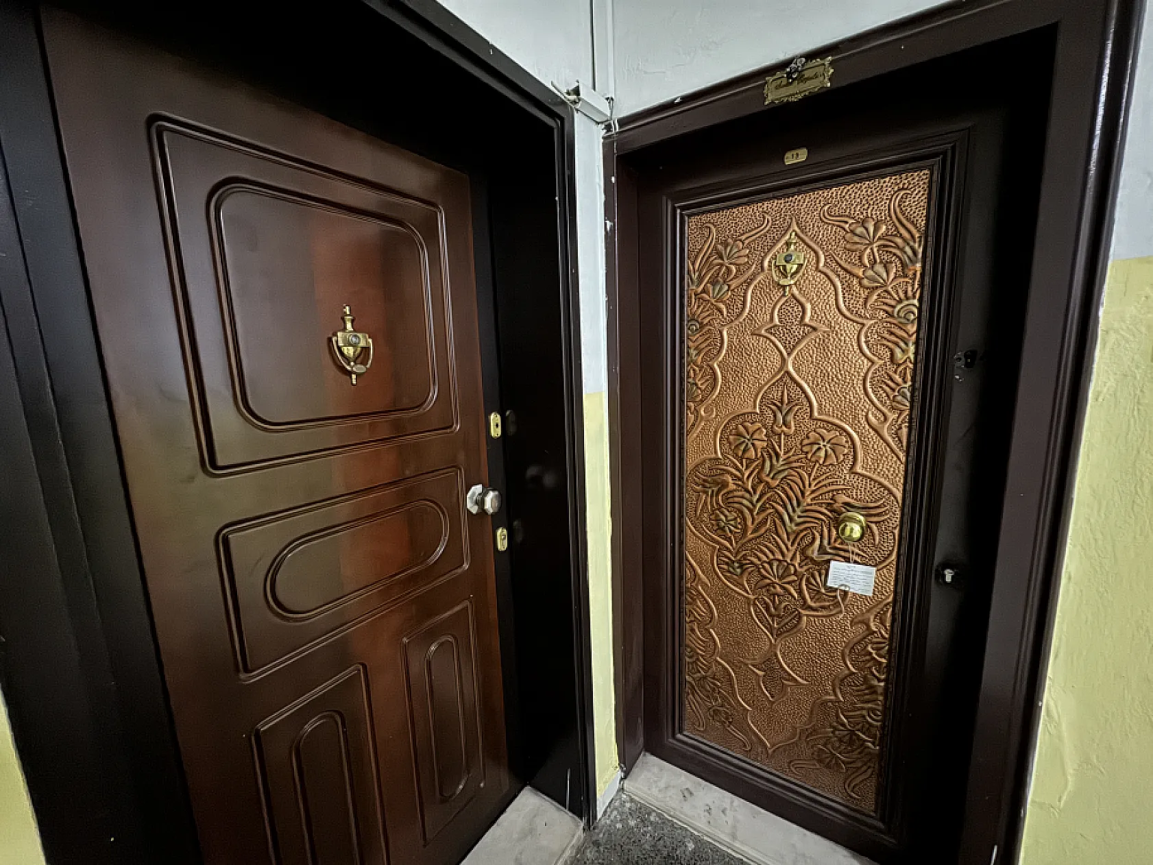 İzmir'de yalnız yaşayan kadının evinde kemikleri bulundu