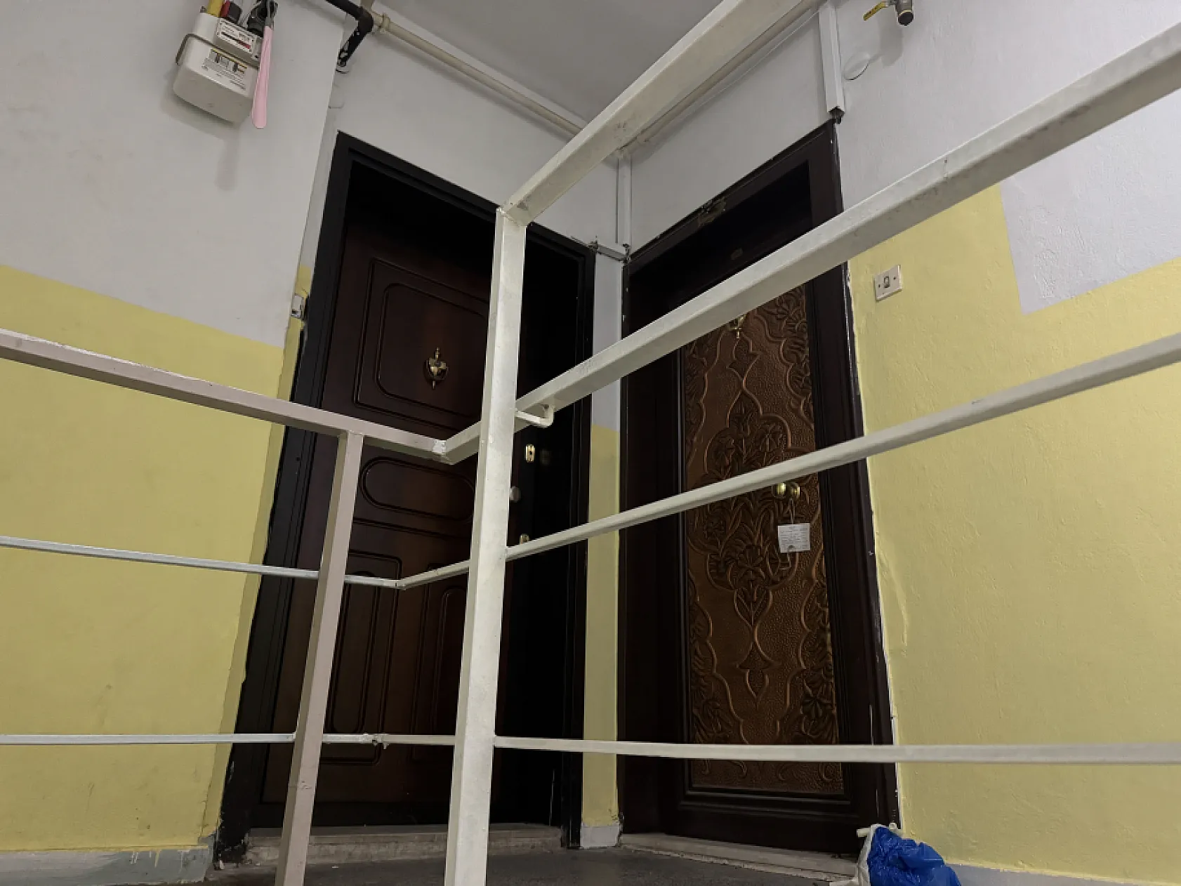 İzmir'de yalnız yaşayan kadının evinde kemikleri bulundu