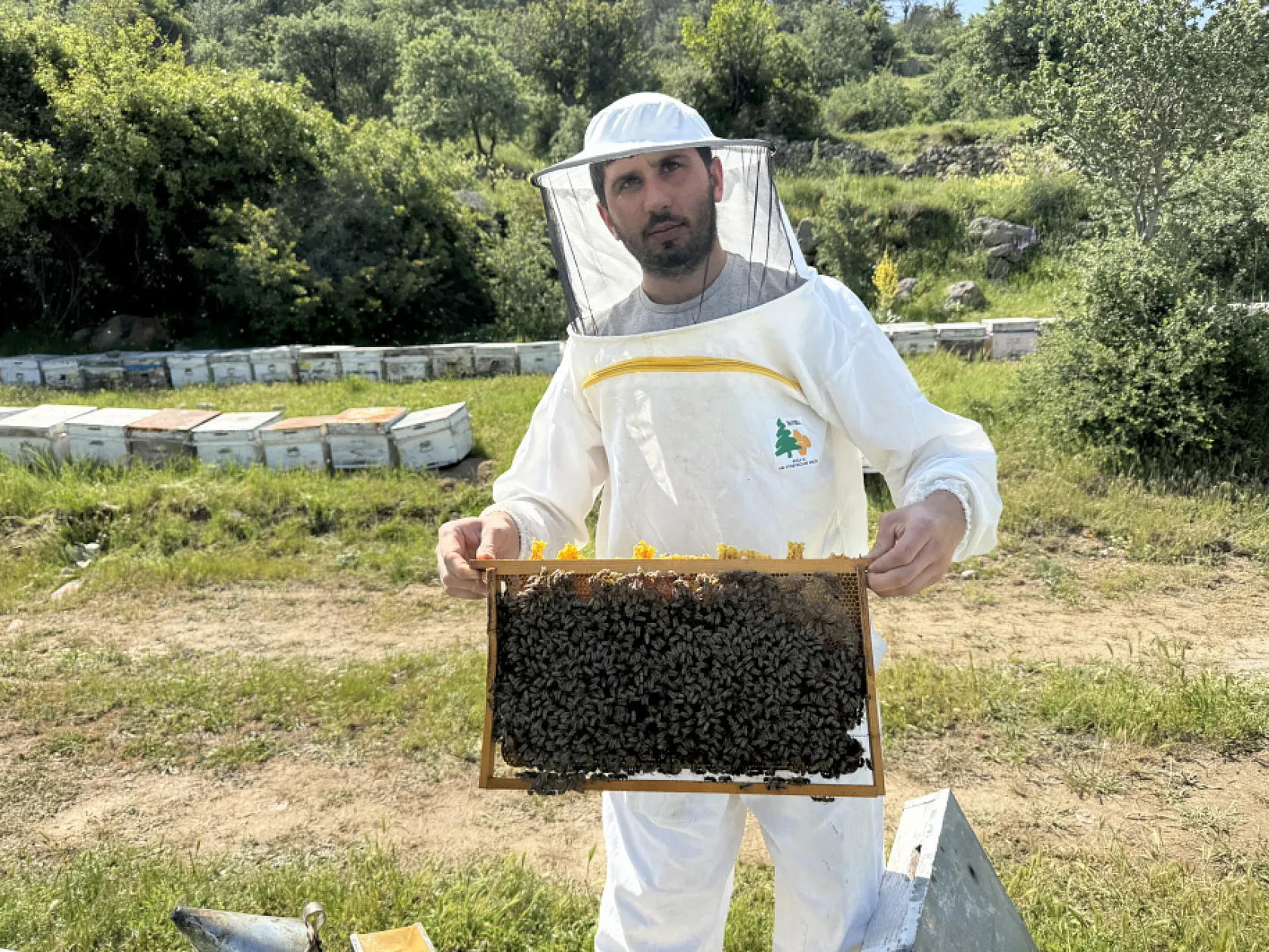 Muğlalı Arıcılar Kocatepe Yaylalarında Kaliteli Çiçek Balı Üretimine Hazırlanıyor