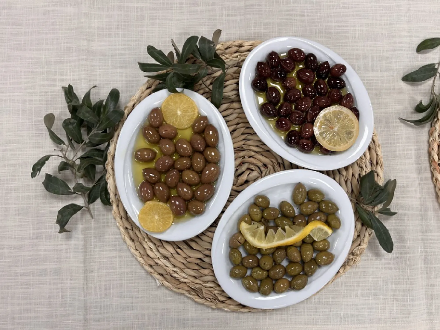 Coğrafi işaretli Milas zeytinyağının ardından Çekişke zeytini de Avrupa yolunda