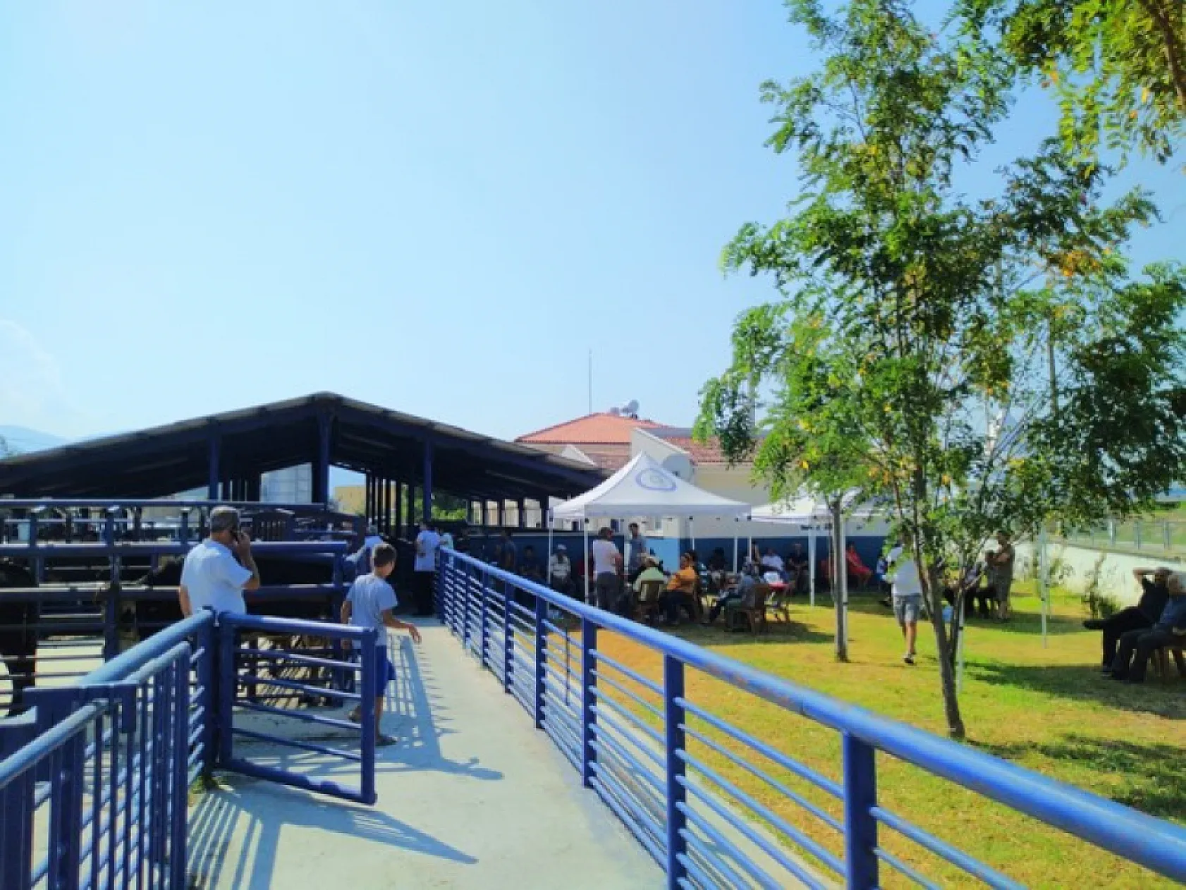 Büyükşehir'in Mezbahaları hijyen ve kalitede örnek olmaya devam ediyor