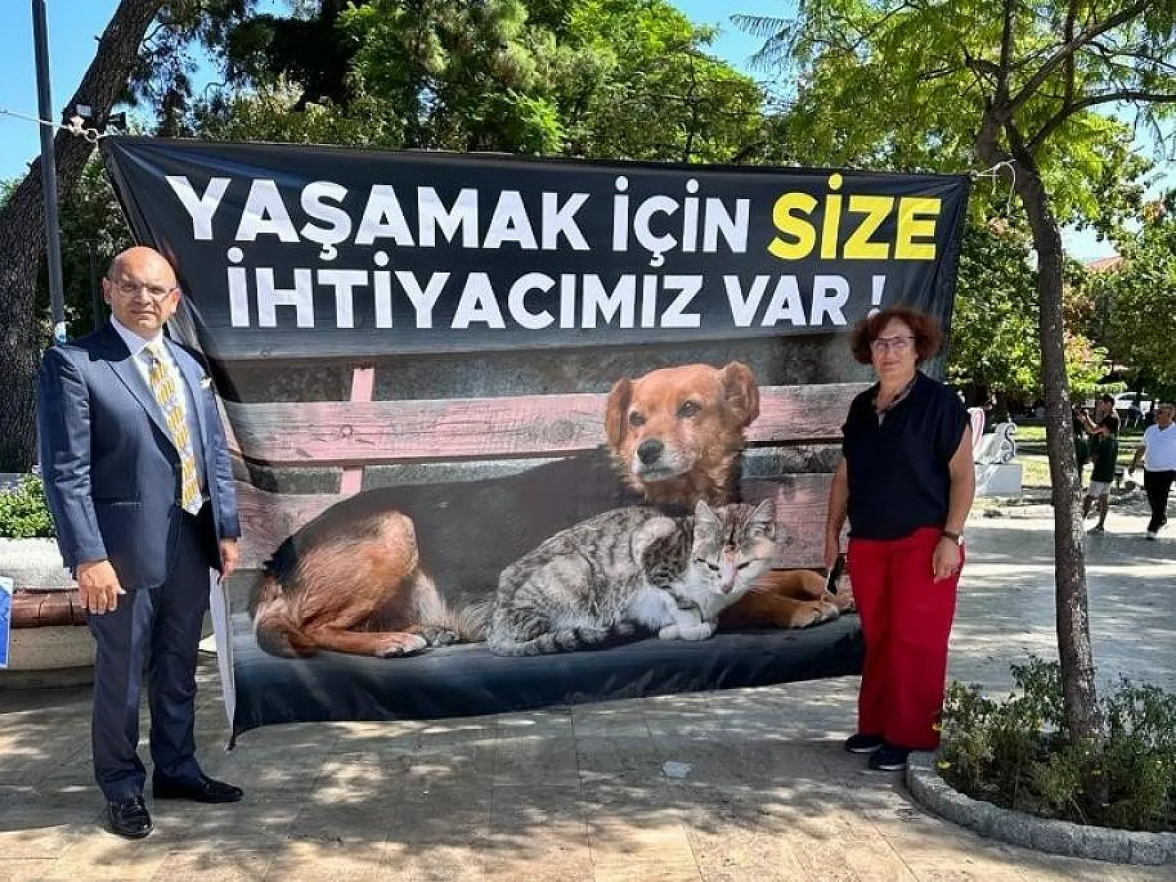 Sokak Hayvanları İçin Bir Araya Geldiler
