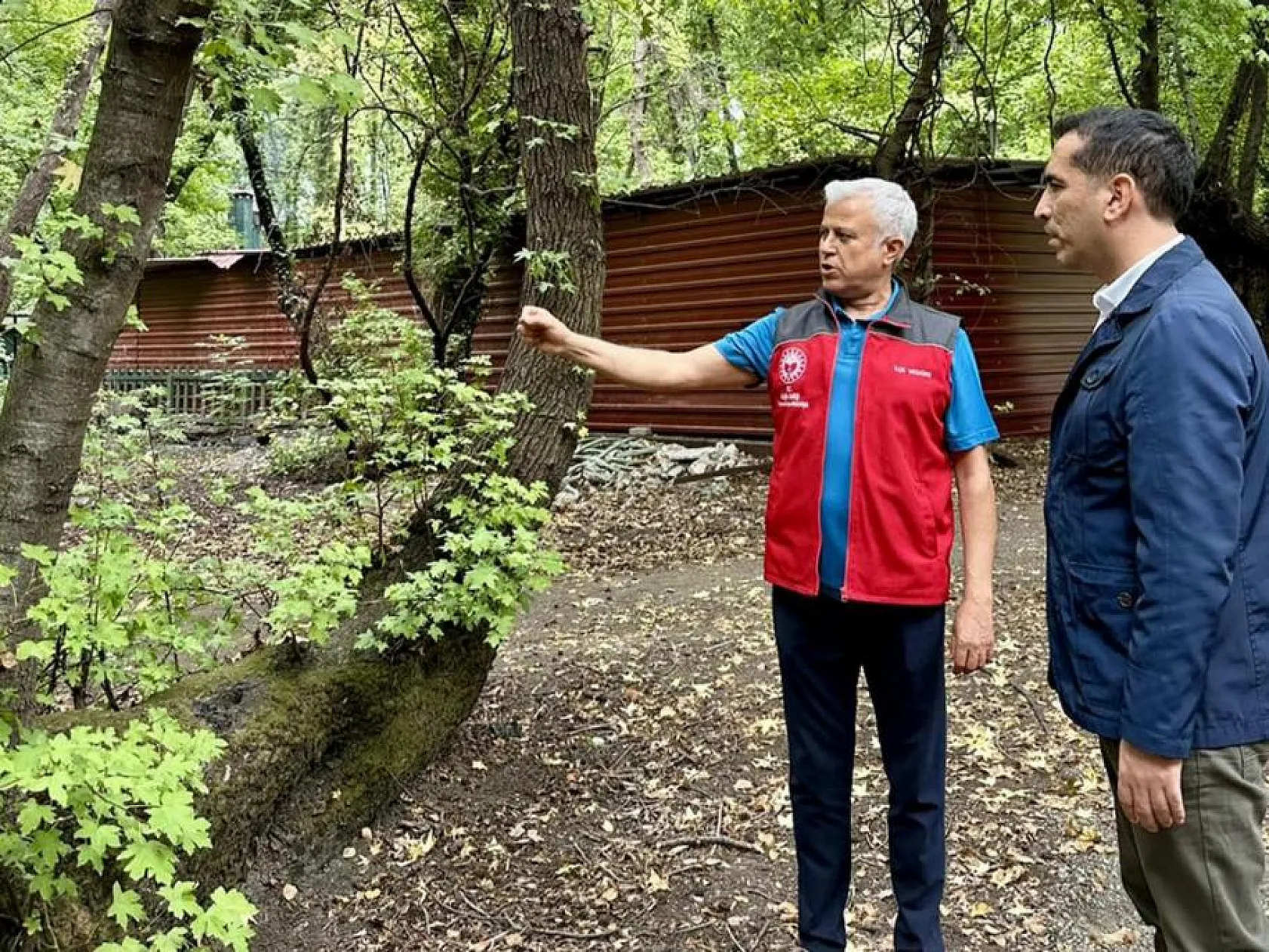 Aktaş: 'Sığla Ağacının geleceğe taşınması çok önemli'