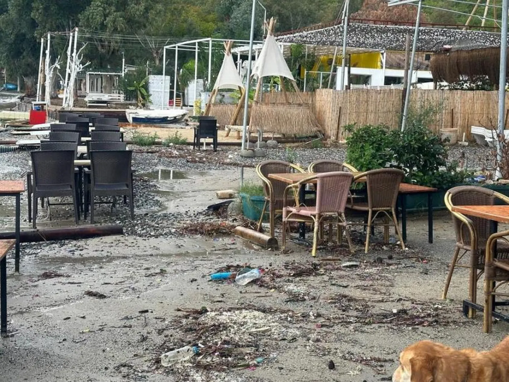 Sağanak yağışlar ve şiddetli dalgalar iskeleleri söktü