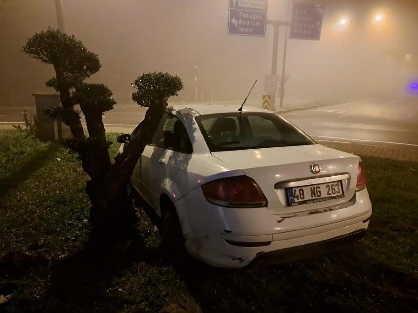 Yoğun sis kazaya neden oldu