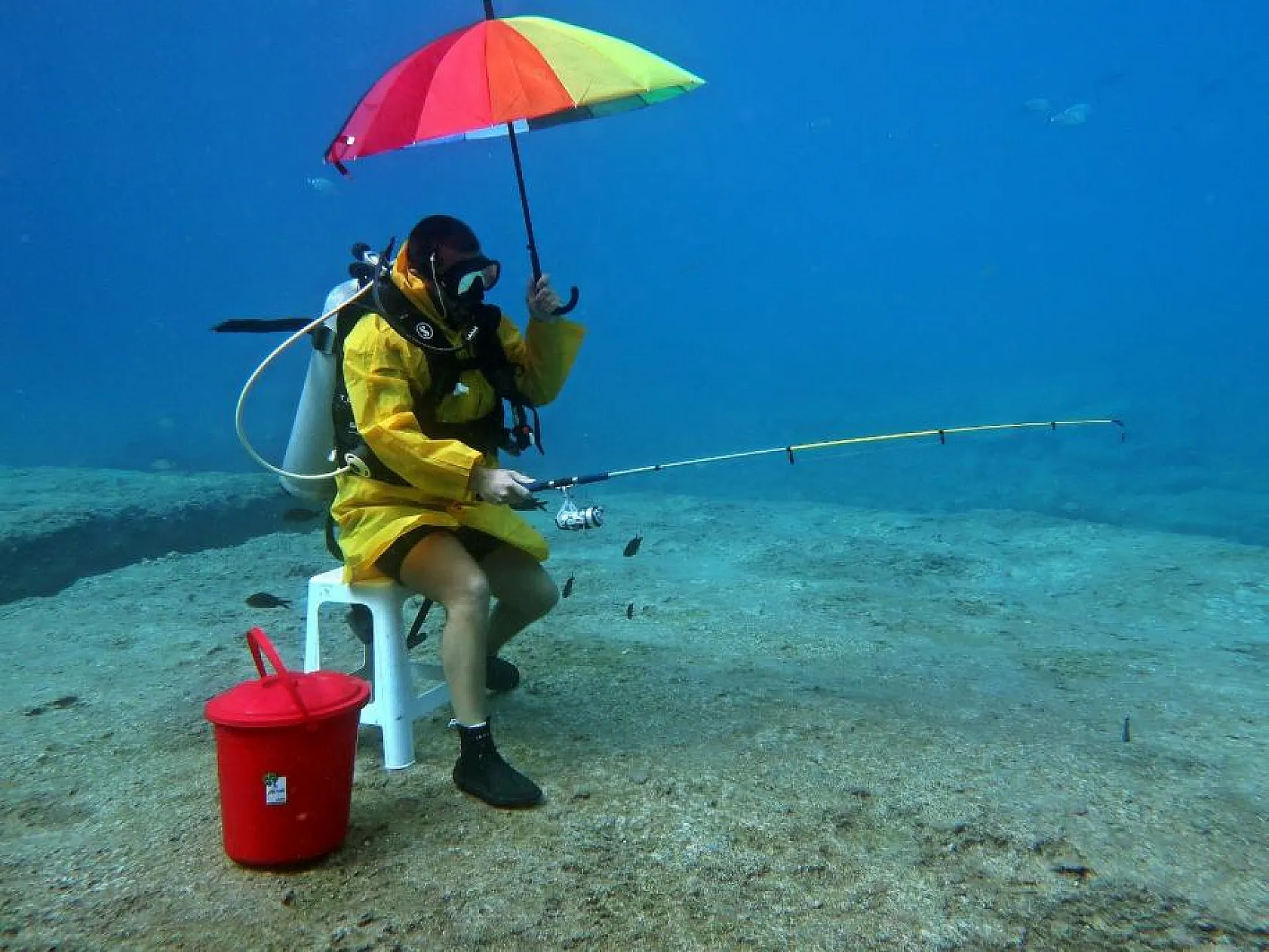 Dalgıçlar 2024 Turizm Sezonunu Bekliyor