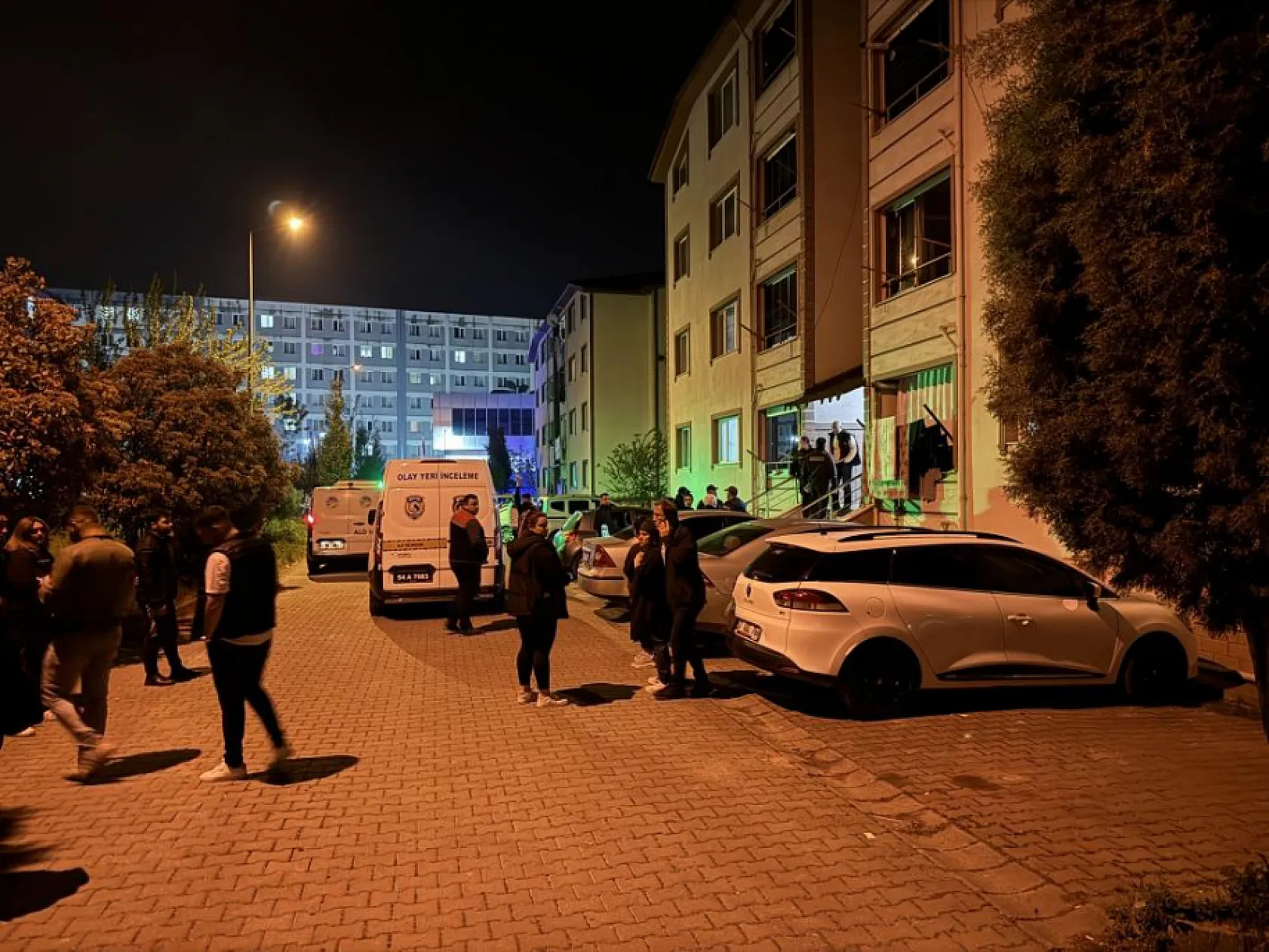 Büyük oğul üvey annesini ve öz babasını, küçük kardeş ise ağabeyini öldürdü