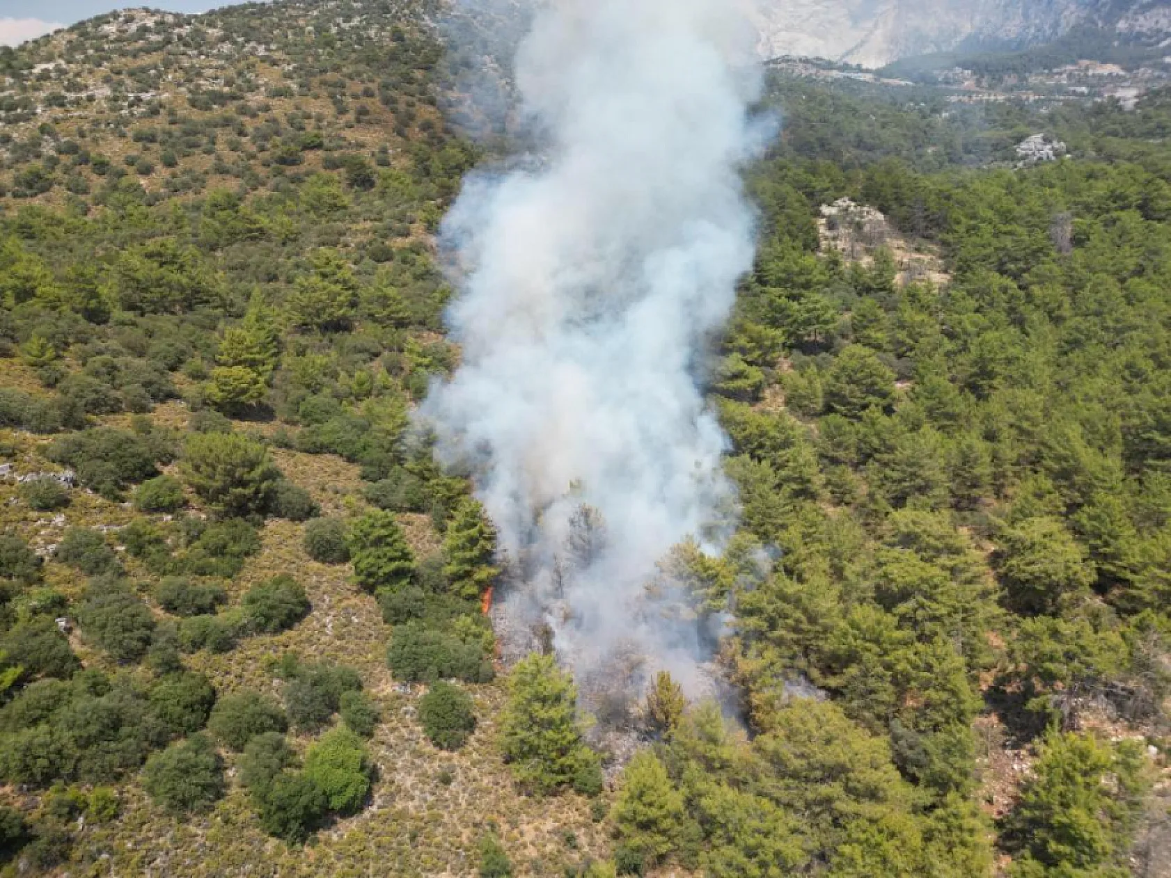 Fethiye'deki Orman Yangını Kontrol Altına Alındı