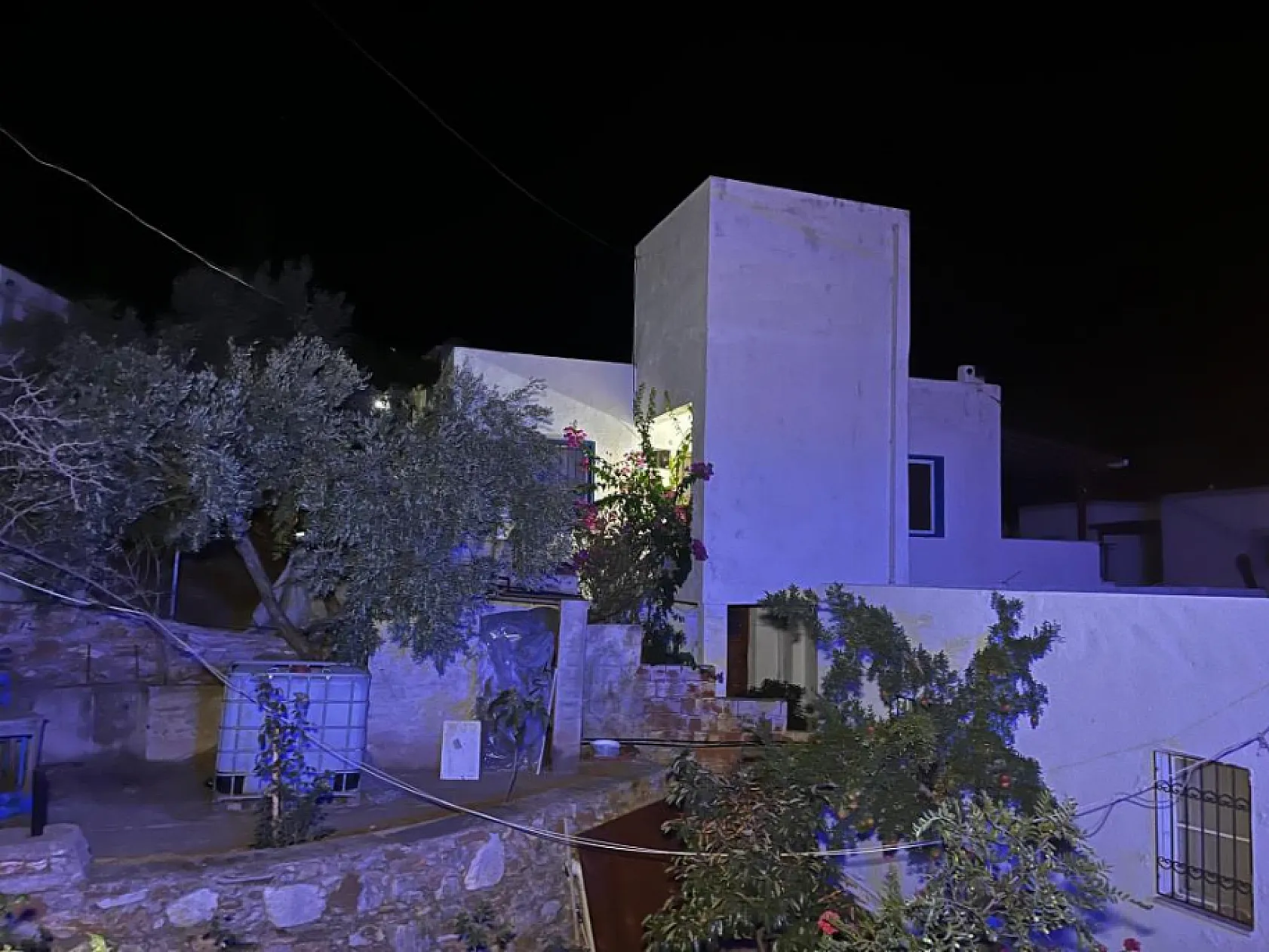 Bodrum'da Kan Donduran Gece: Ev Baskınında 2 Ölü