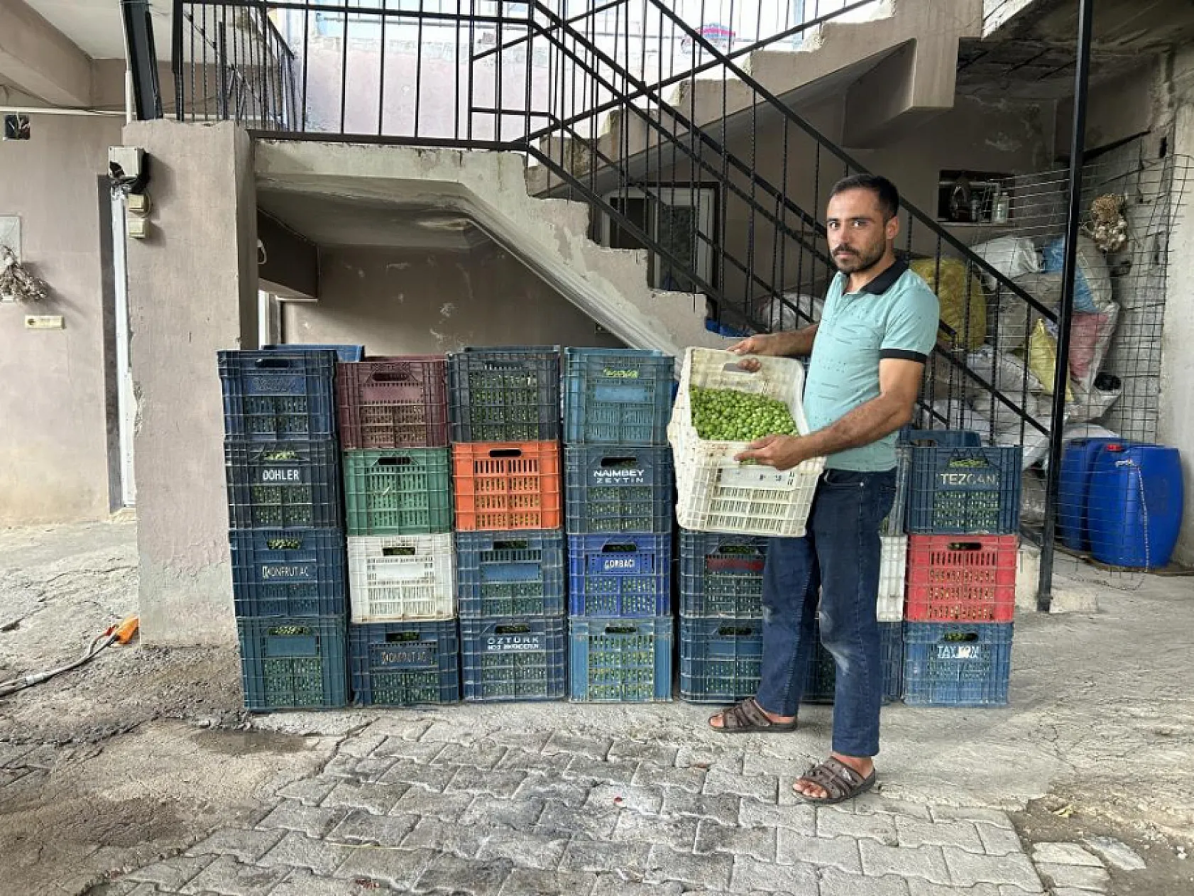 Günlük 1000 TL kazanıyorlar! Kilosu ise 70 TL