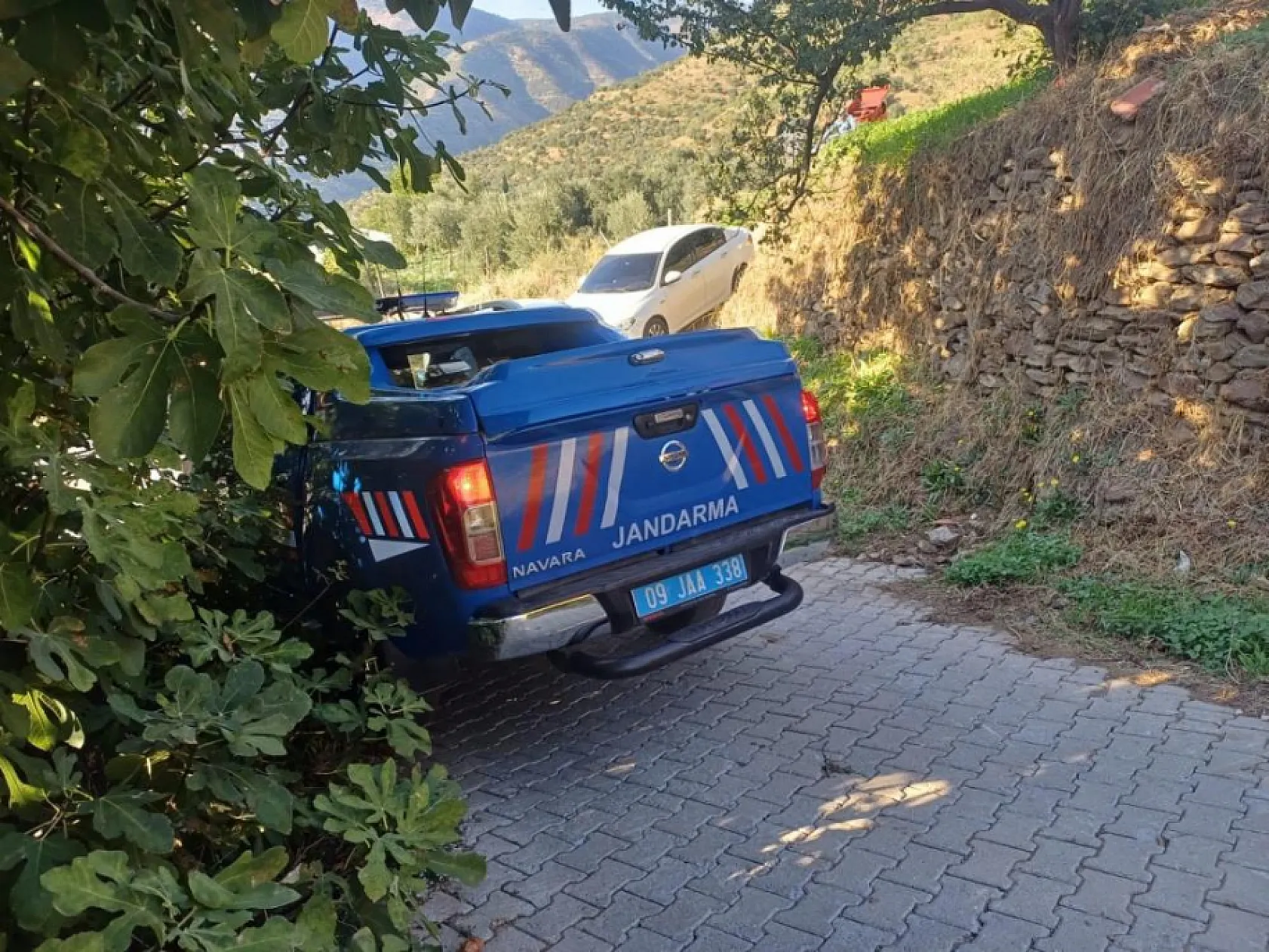 Sevgilisini öldüren şahıs, hastanede hayatını kaybetti