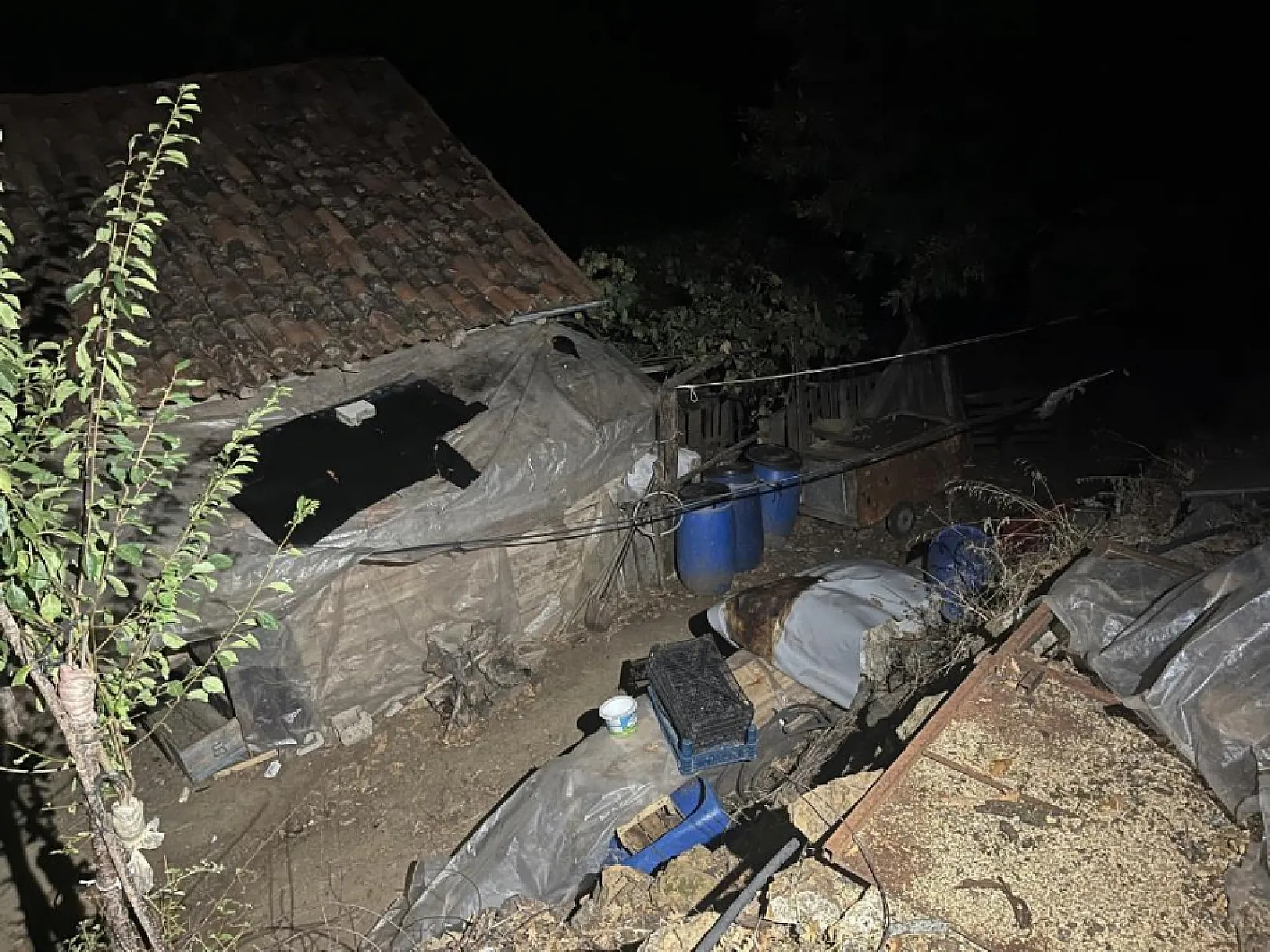 Torun dehşeti: Para vermeyen dedesini ve 2 kişiyi öldürdü