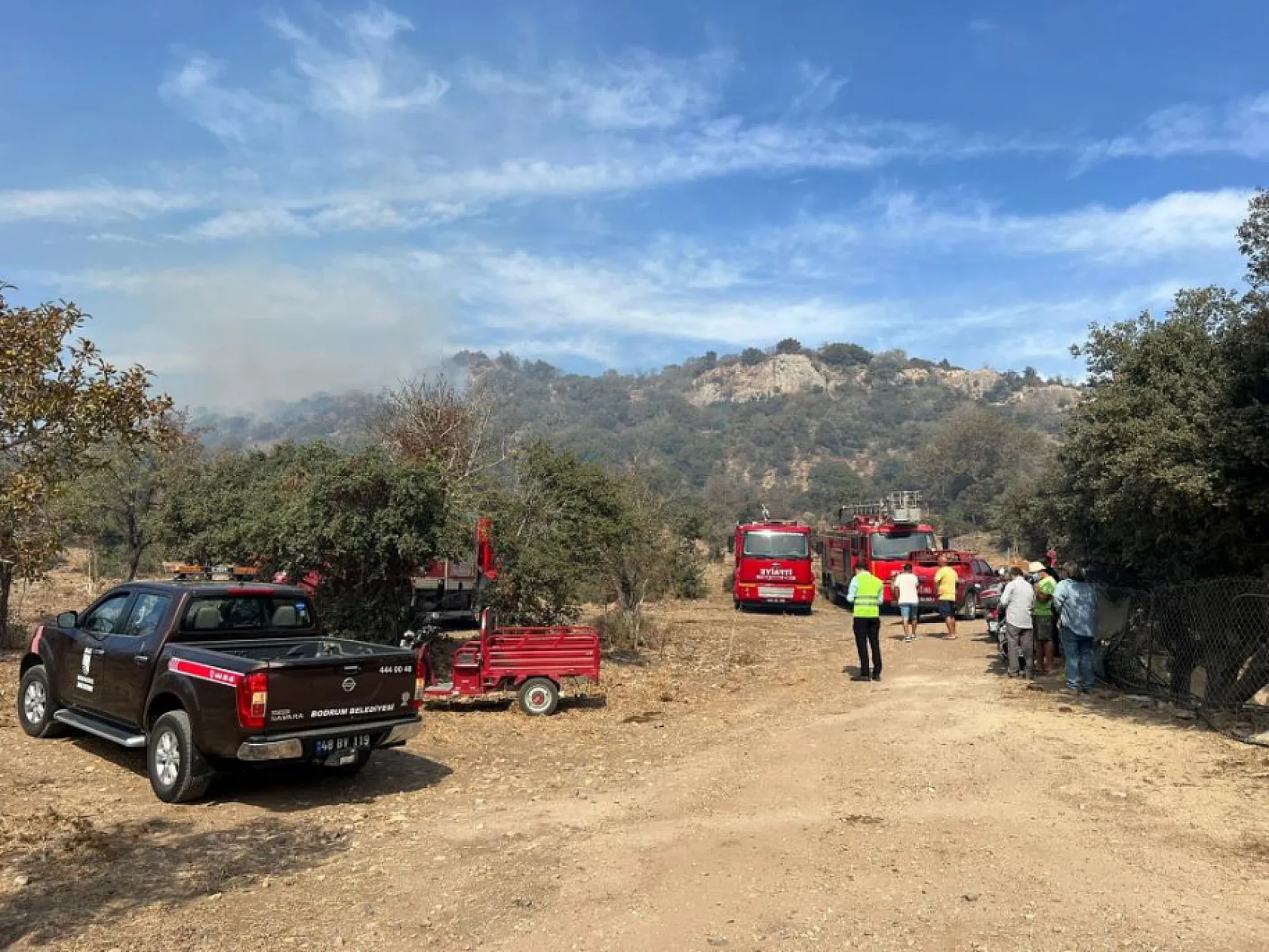 Bodrum'da ağaçlık alanda yangın çıktı