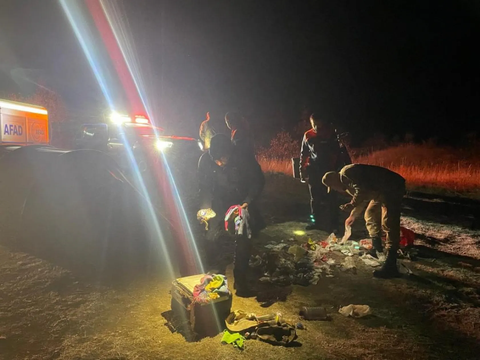 Kamp yapan İngiliz turist ayı saldırısına uğradı