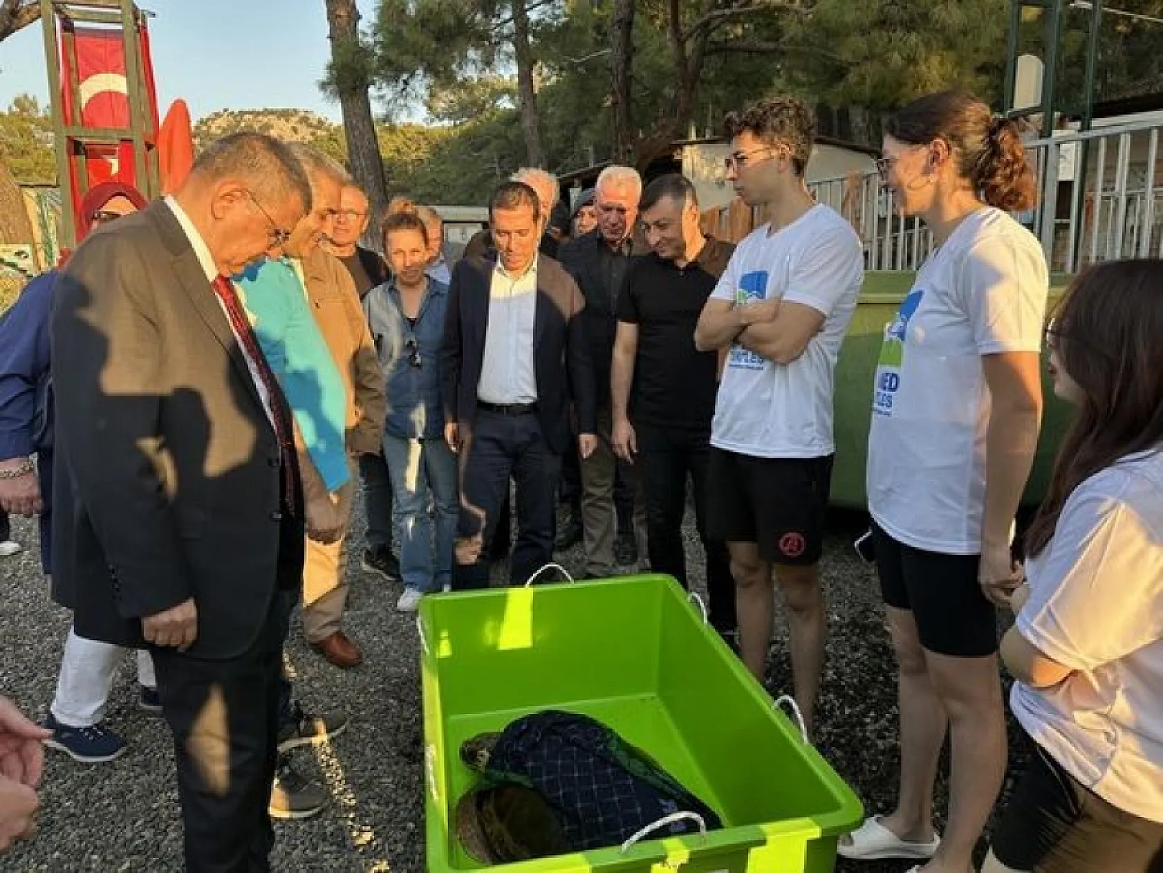 Tedavileri tamamlanan Carettalar denize kavuştu