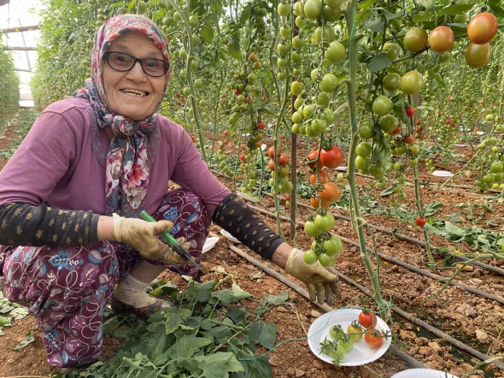 Kocası 5 çocuğuyla bırakıp kaçınca 46 sene ev temizledi, şimdi ise 75 yaşında serada çalışıyor