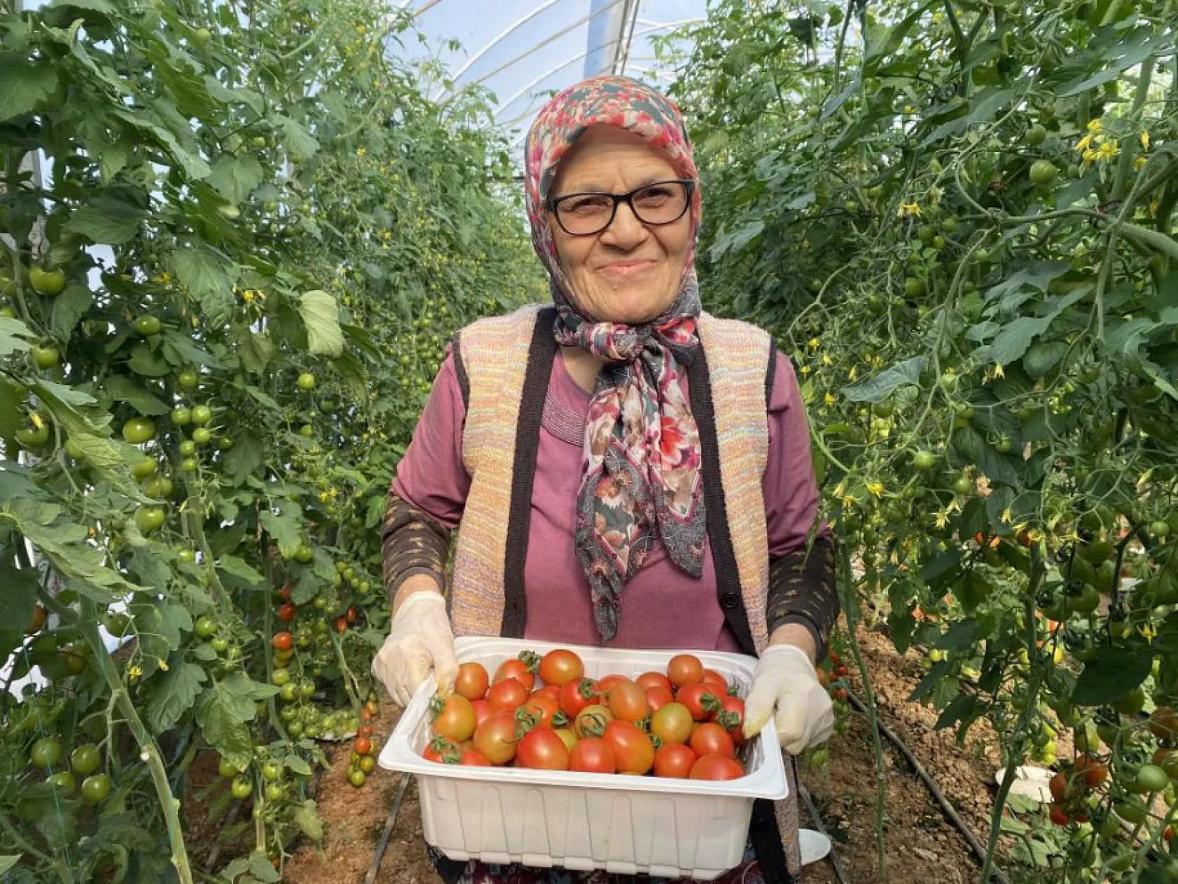 Kocası 5 çocuğuyla bırakıp kaçınca 46 sene ev temizledi, şimdi ise 75 yaşında serada çalışıyor