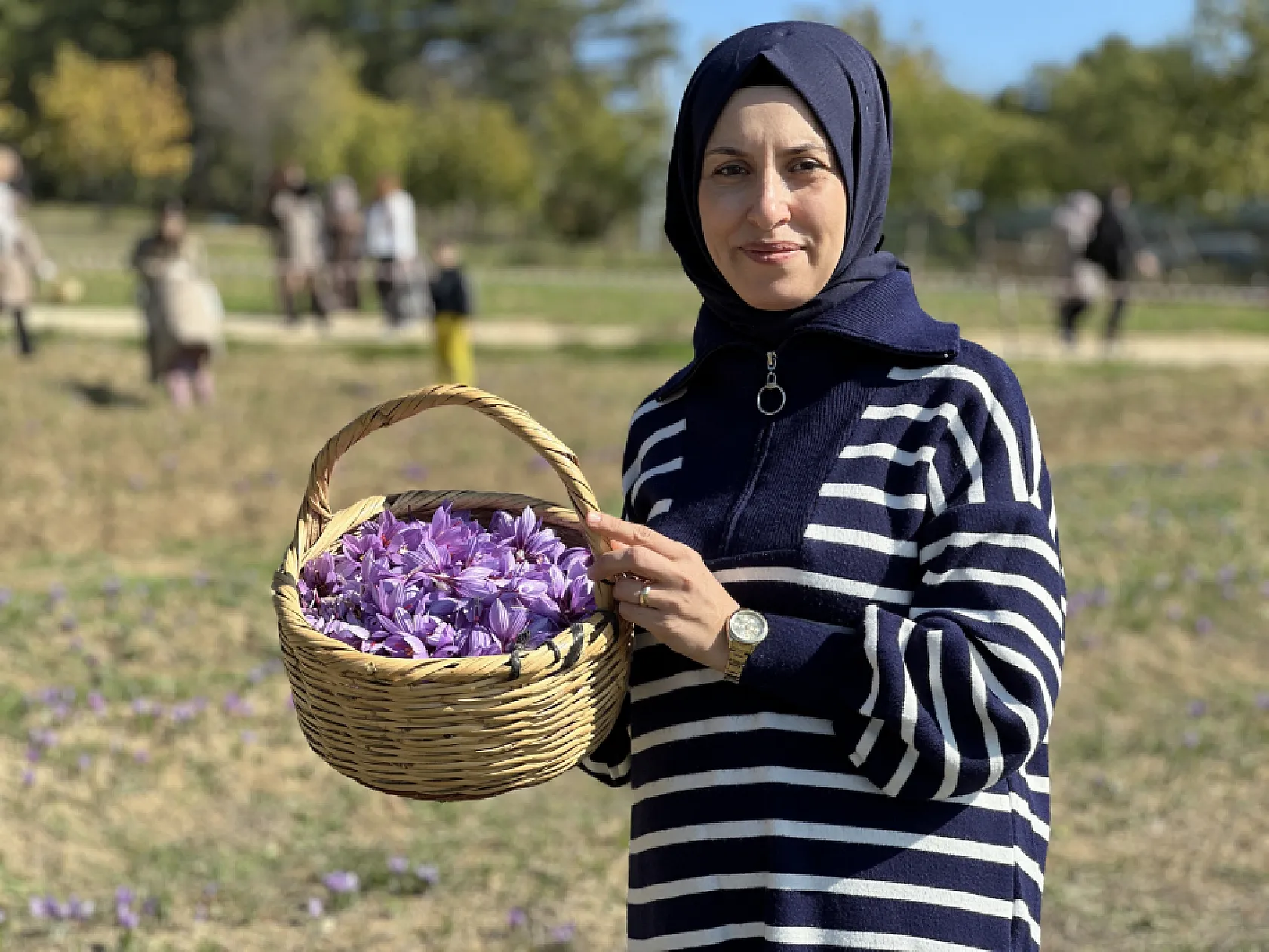 Hasadı sona eren safran 450 bin TL'den satılacak