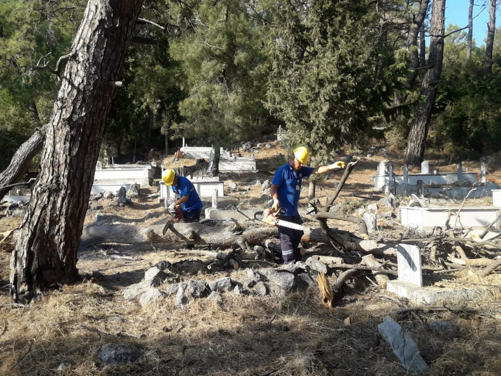 Muğla'da mezarlıklarda temizlik