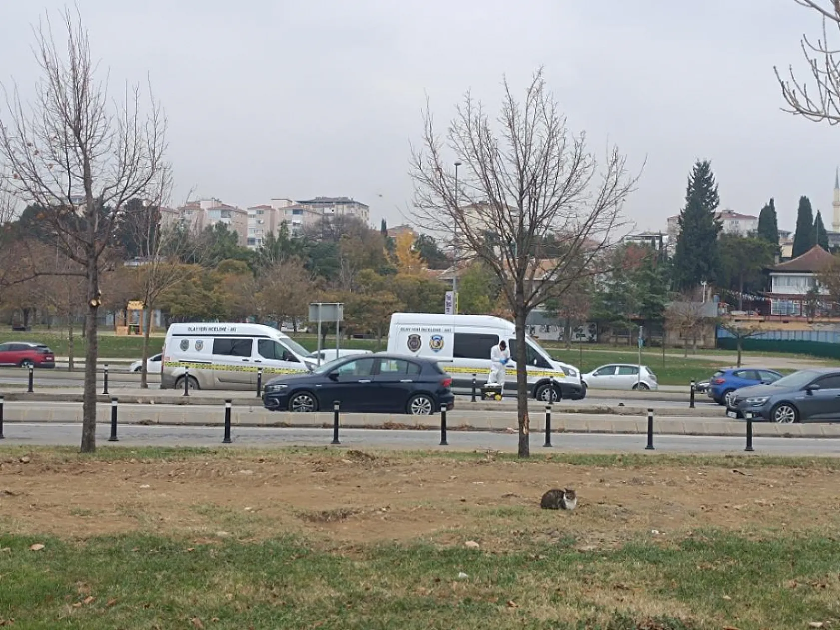 Denizde başından silahla vurulmuş 2 erkek cesedi bulundu