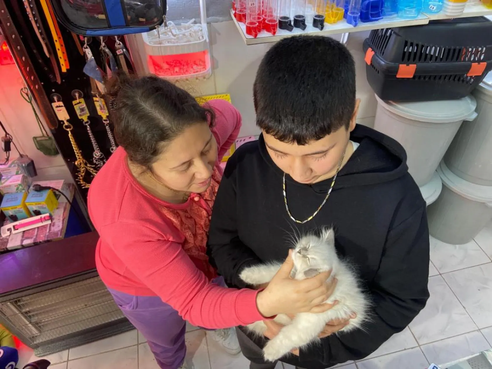 Şaşırtan hırsızlık: Cins kediyi montunun içine gizleyip çaldı