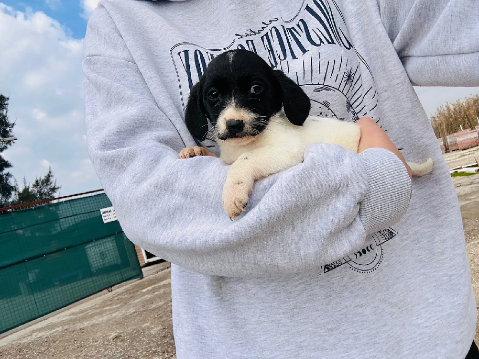 Sahiplendiği yavru köpeğin fazla yaşamayacağını duyunca gözyaşlarına boğuldu