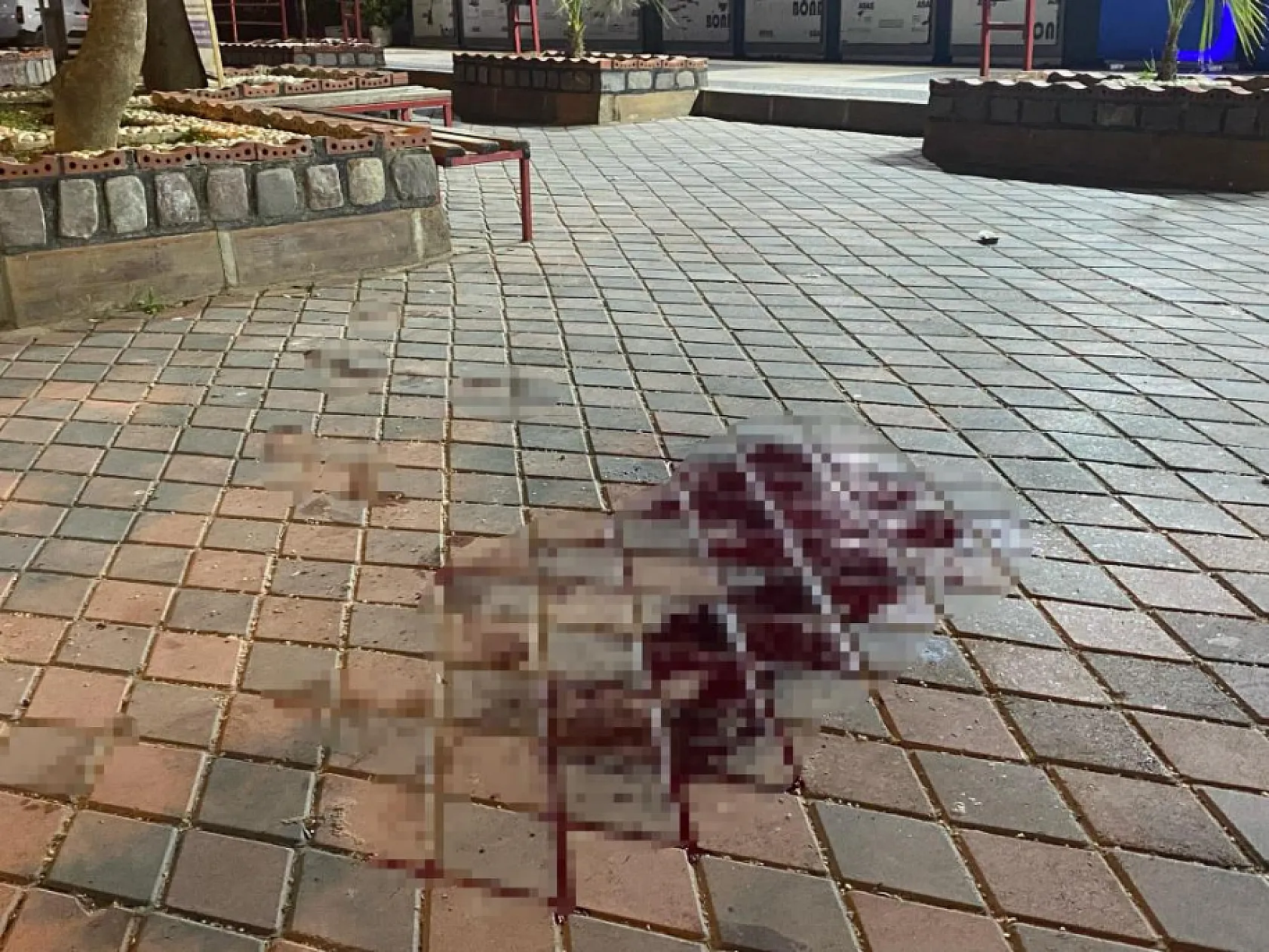 Eşini öldürdü, 8 yaşındaki kızını da yaraladı