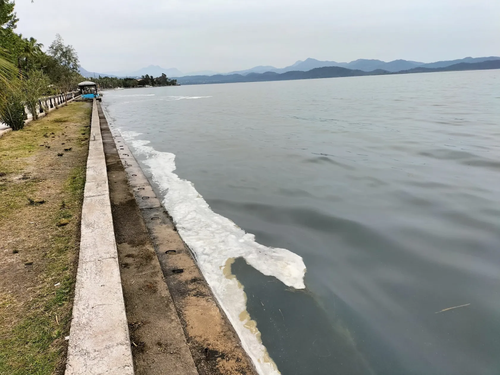 Köyceğiz Gölü'ndeki müsilaj tedirgin etti