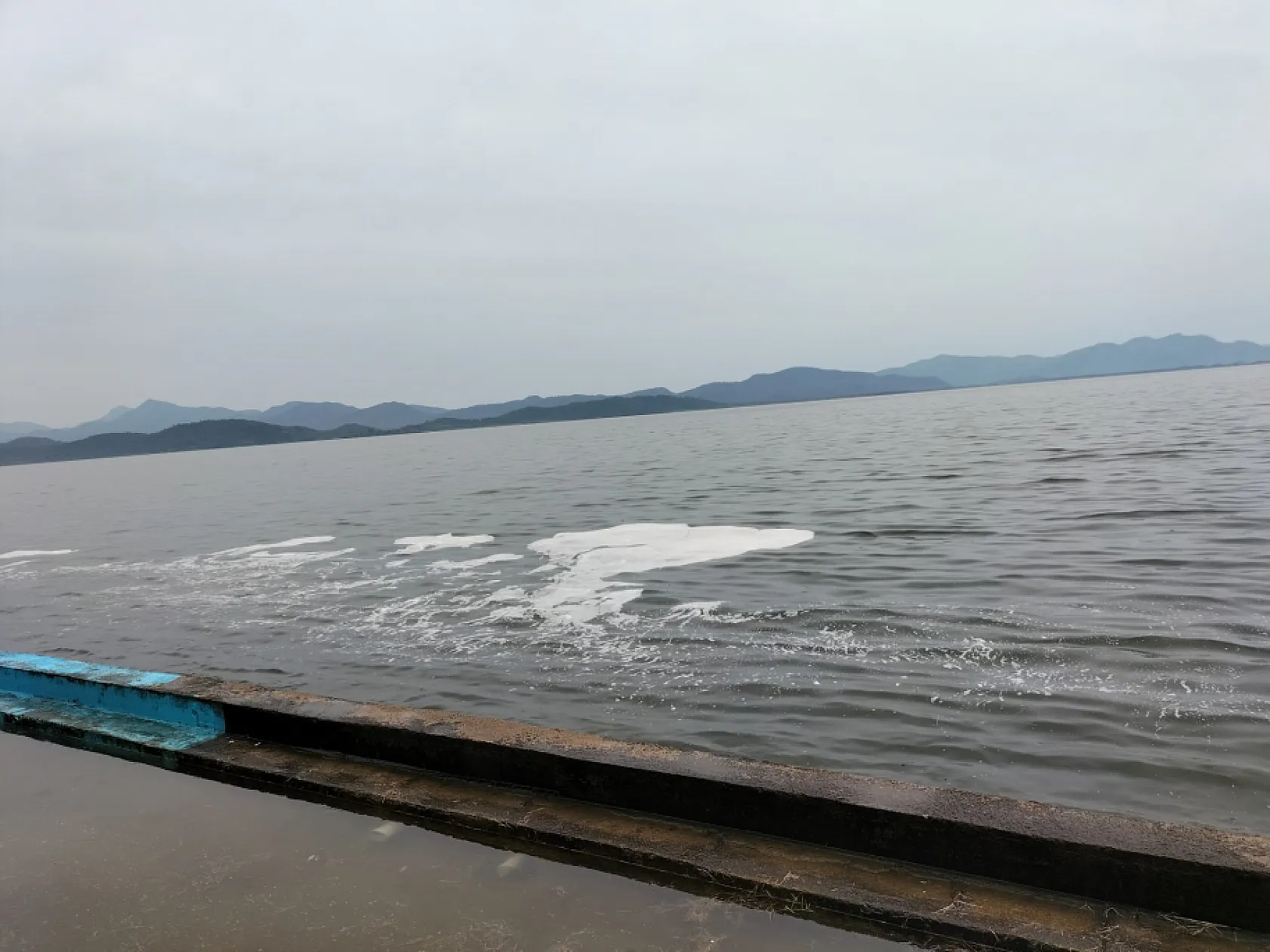 Köyceğiz Gölü'ndeki müsilaj tedirgin etti